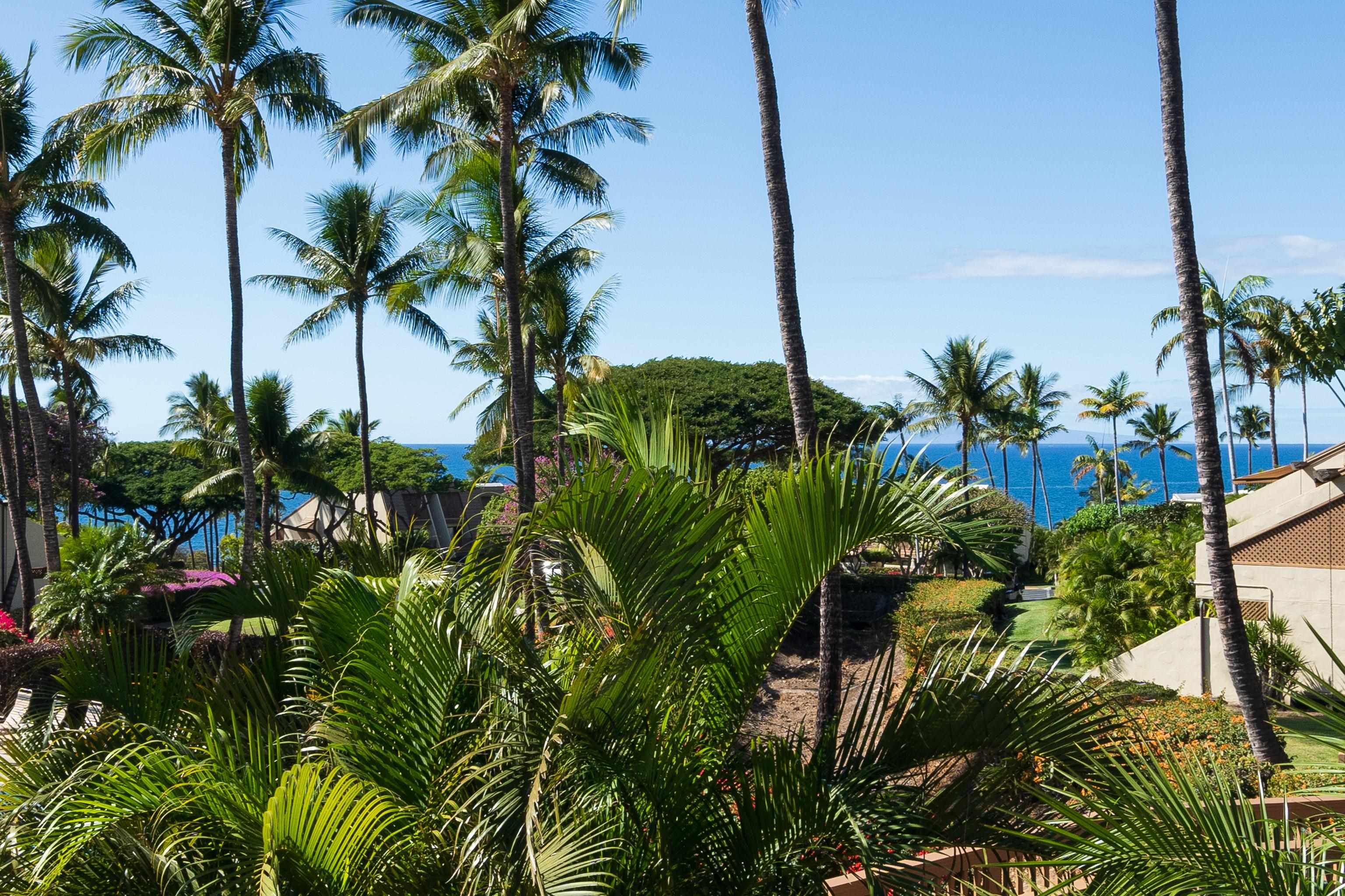 Maui Kamaole condo # C210, Kihei, Hawaii - photo 21 of 50