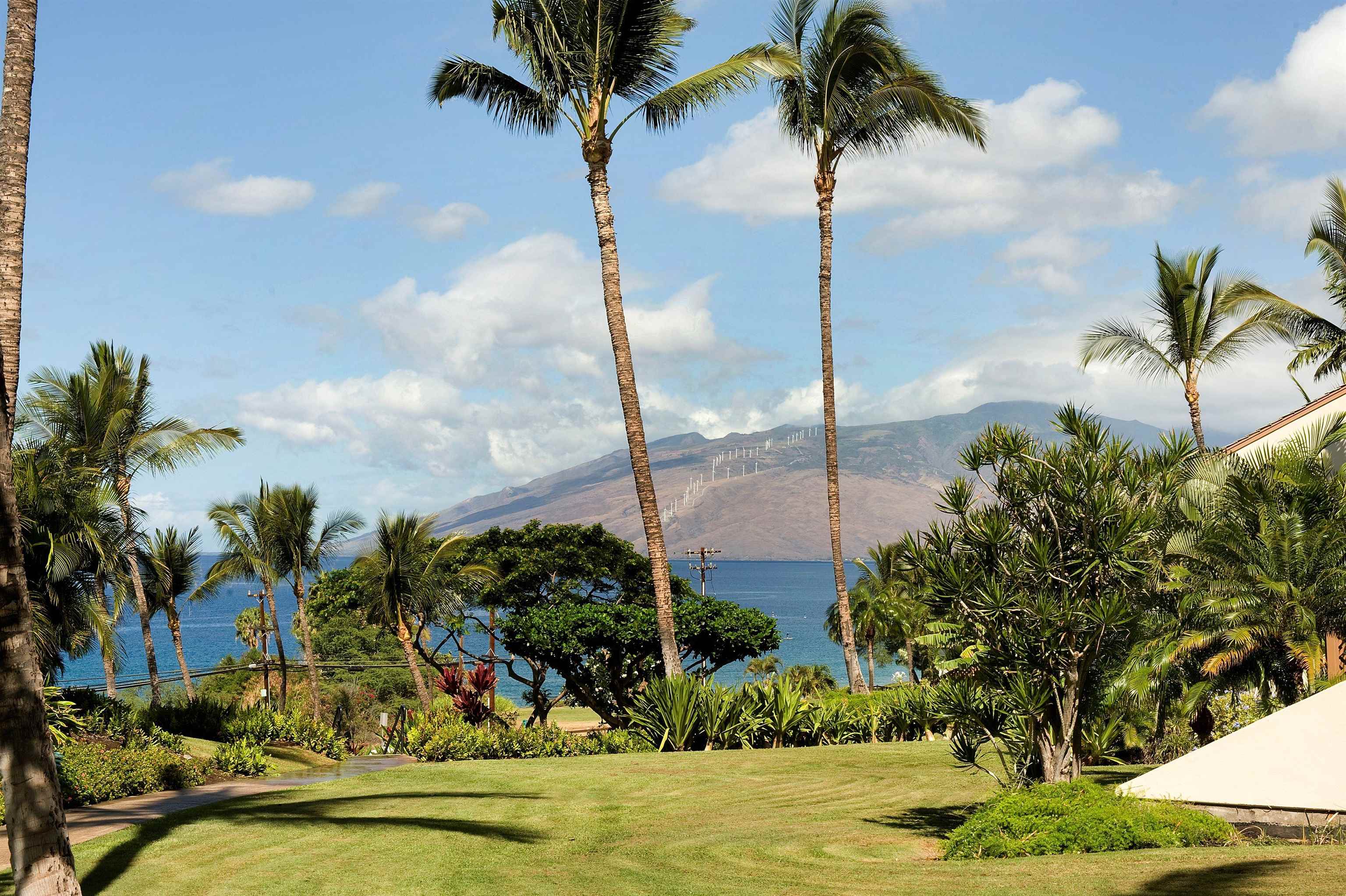 Maui Kamaole condo # D104, Kihei, Hawaii - photo 27 of 44