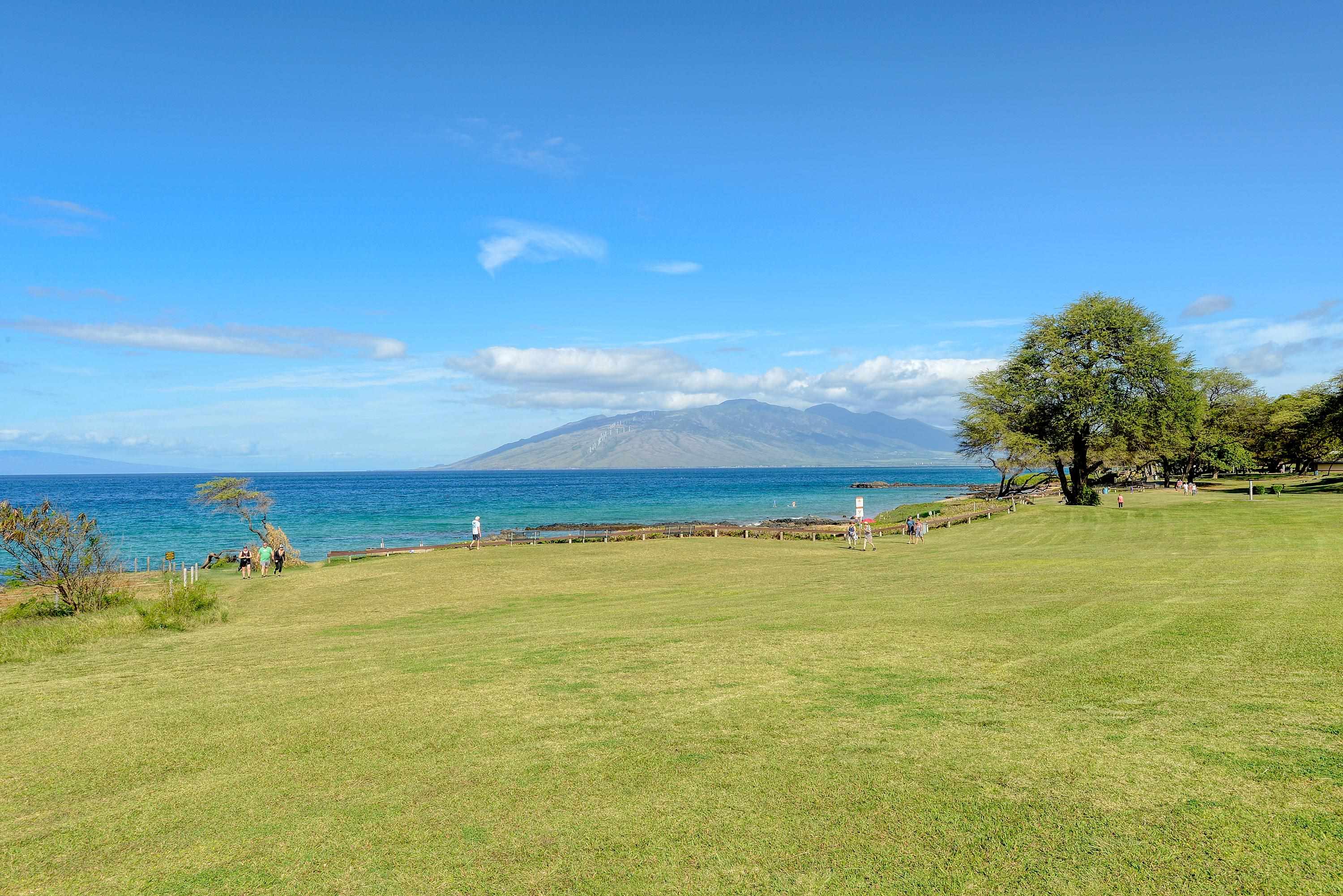 Maui Kamaole condo # D104, Kihei, Hawaii - photo 38 of 44