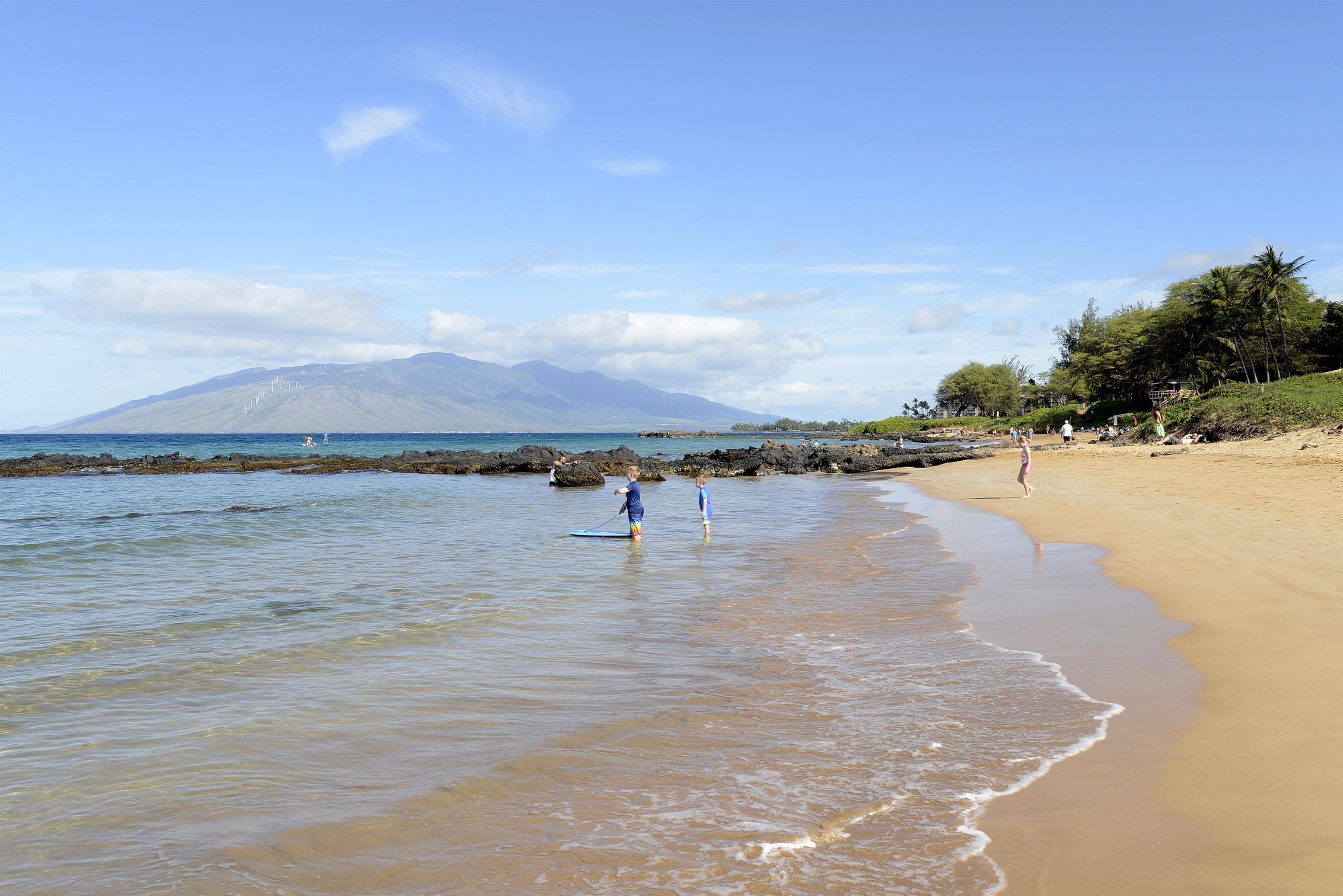 Maui Kamaole condo # D104, Kihei, Hawaii - photo 39 of 44