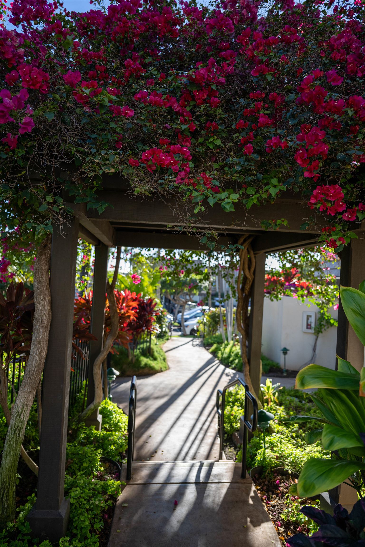 Maui Kamaole condo # D208, Kihei, Hawaii - photo 42 of 44