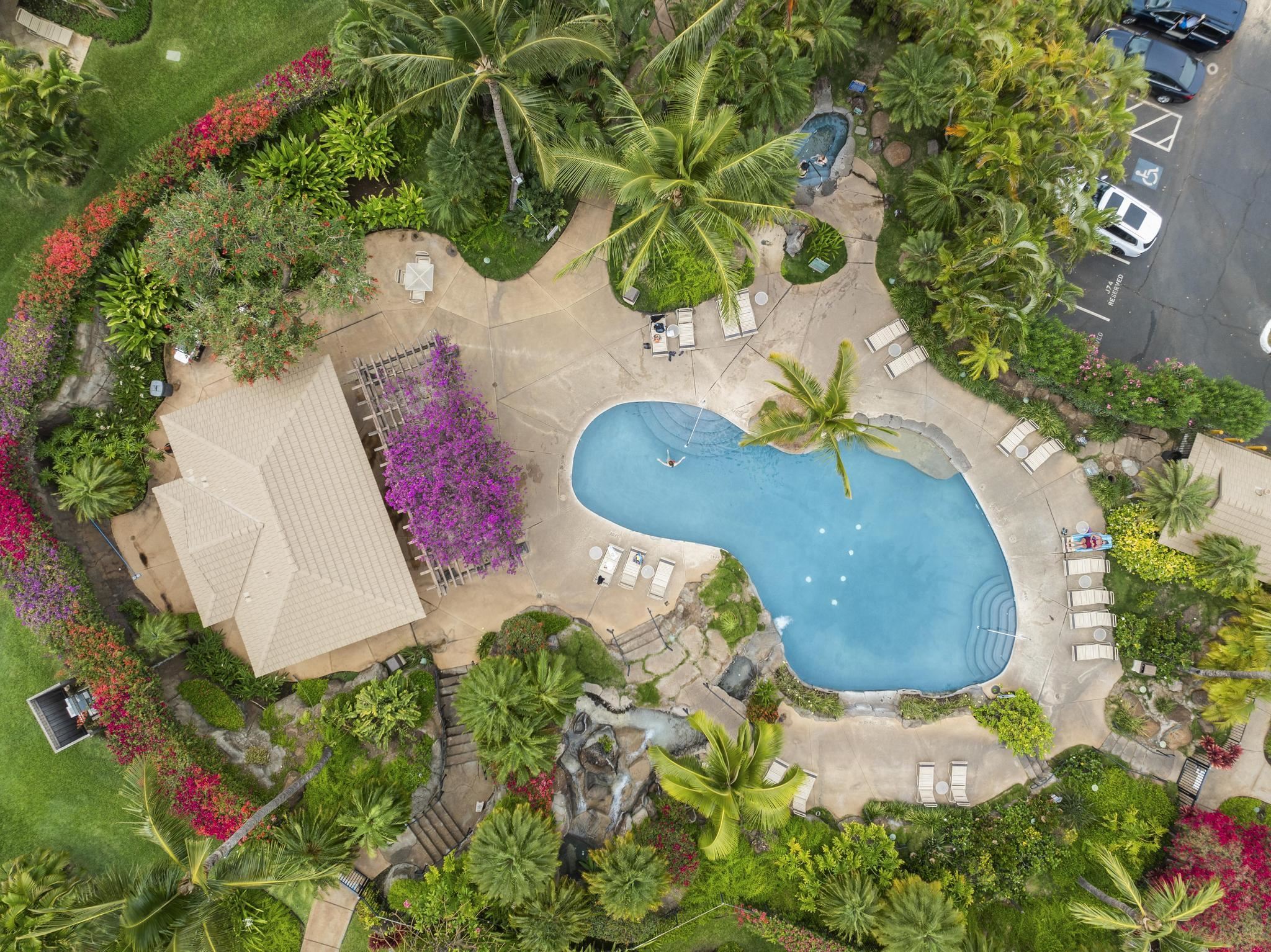 Maui Kamaole condo # E-104, Kihei, Hawaii - photo 35 of 50