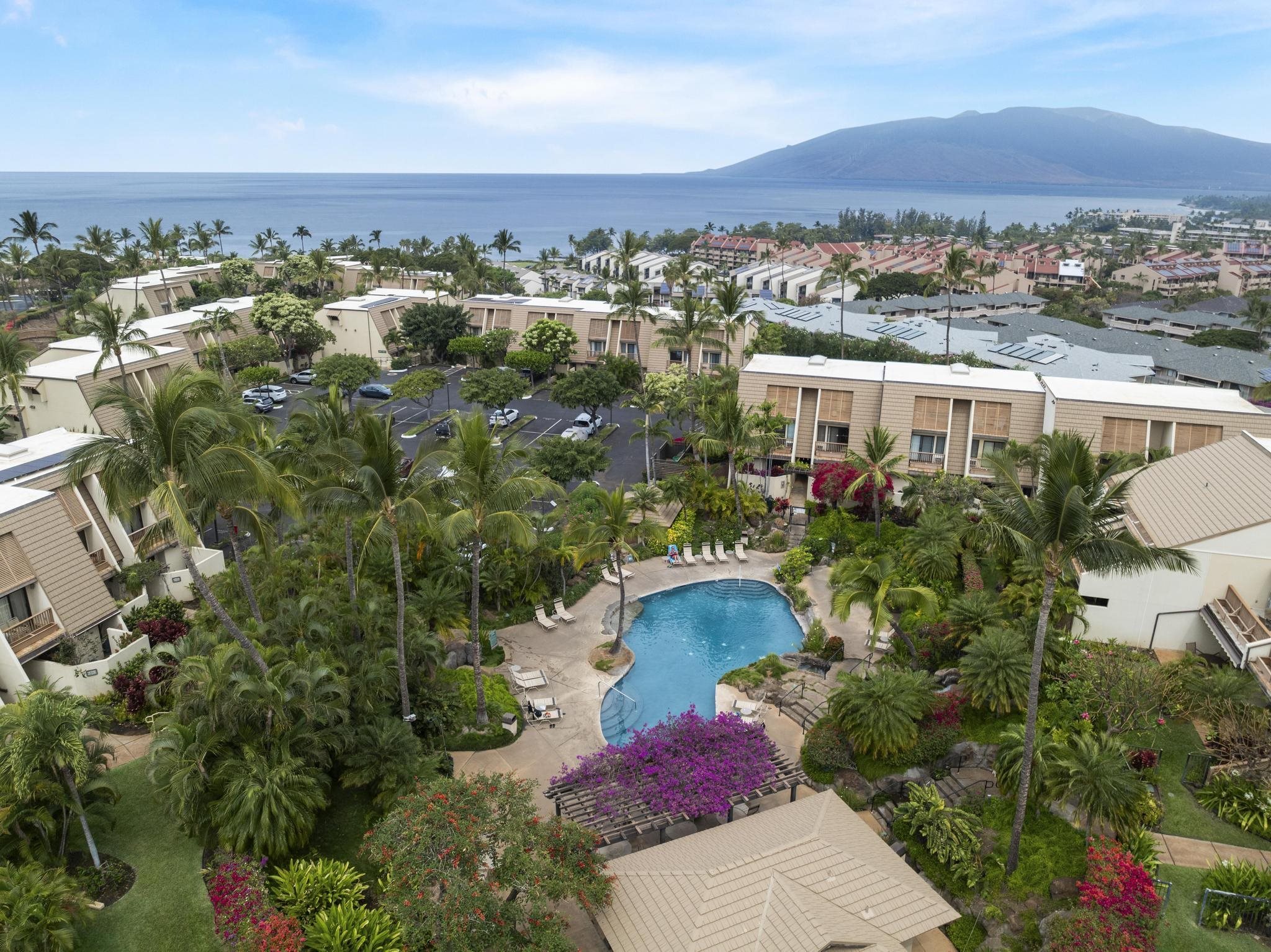 Maui Kamaole condo # E-104, Kihei, Hawaii - photo 38 of 50