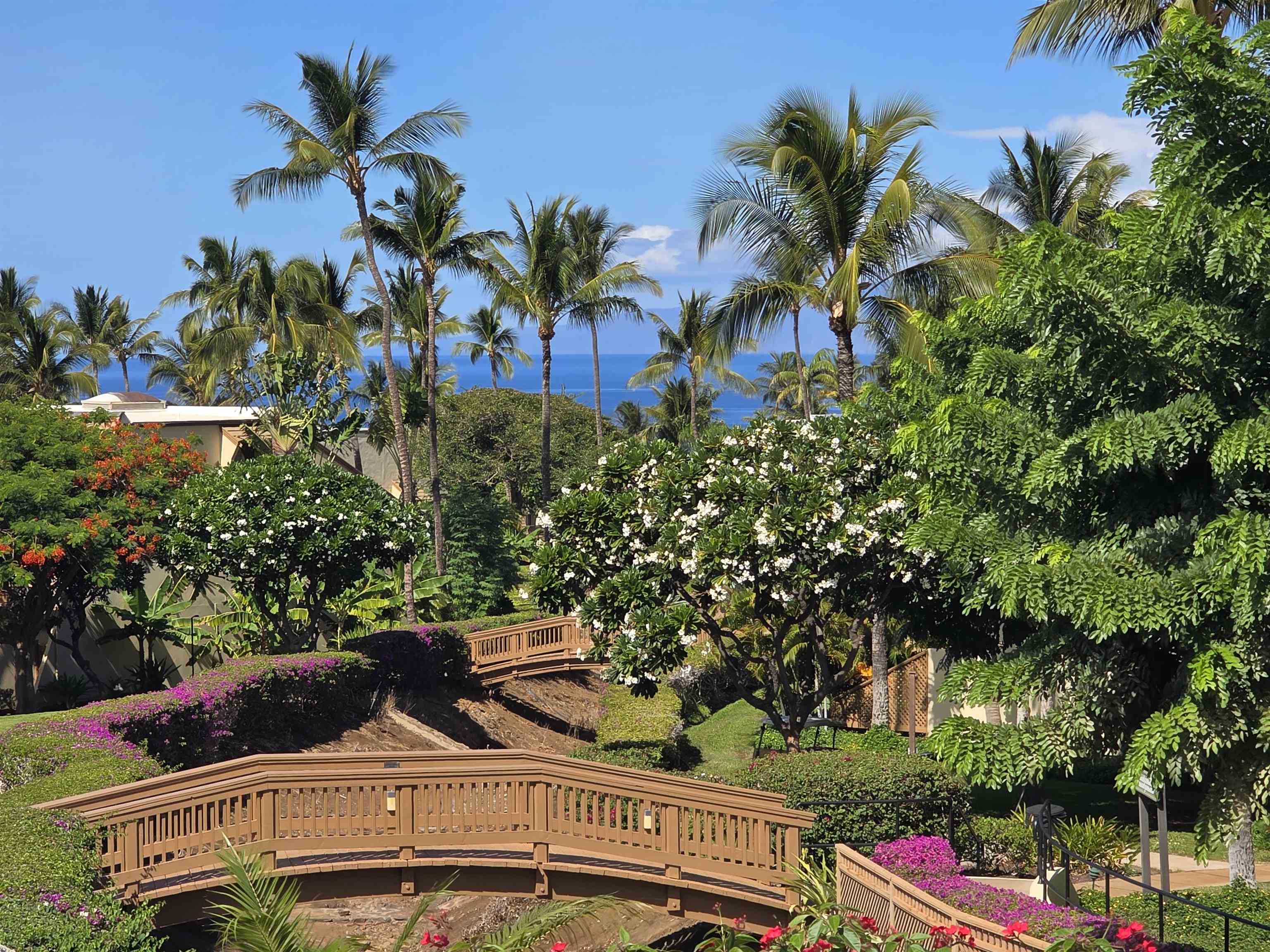 Maui Kamaole condo # F203, Kihei, Hawaii - photo 2 of 37