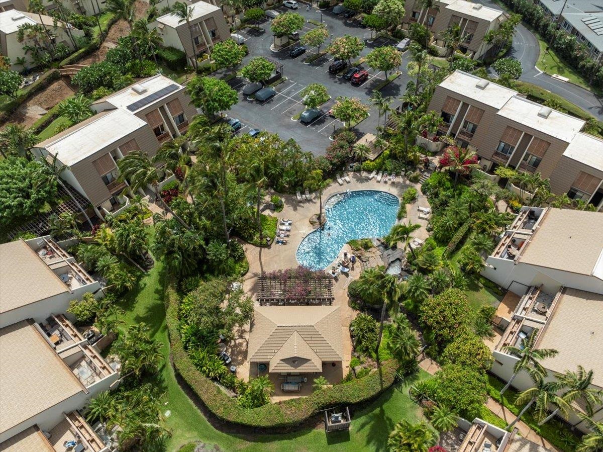 Maui Kamaole condo # F203, Kihei, Hawaii - photo 5 of 37