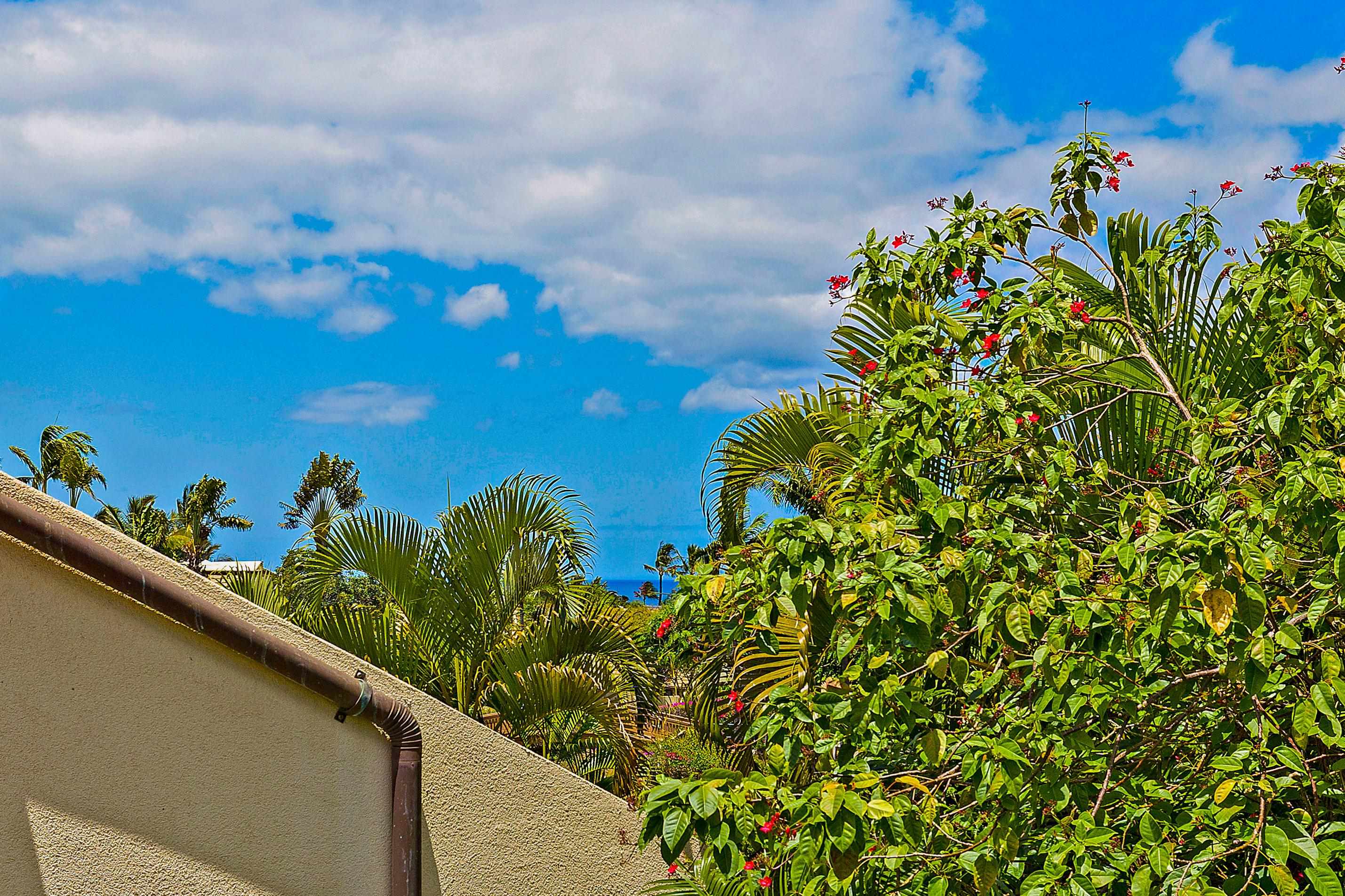 Maui Kamaole condo # F209, Kihei, Hawaii - photo 35 of 35