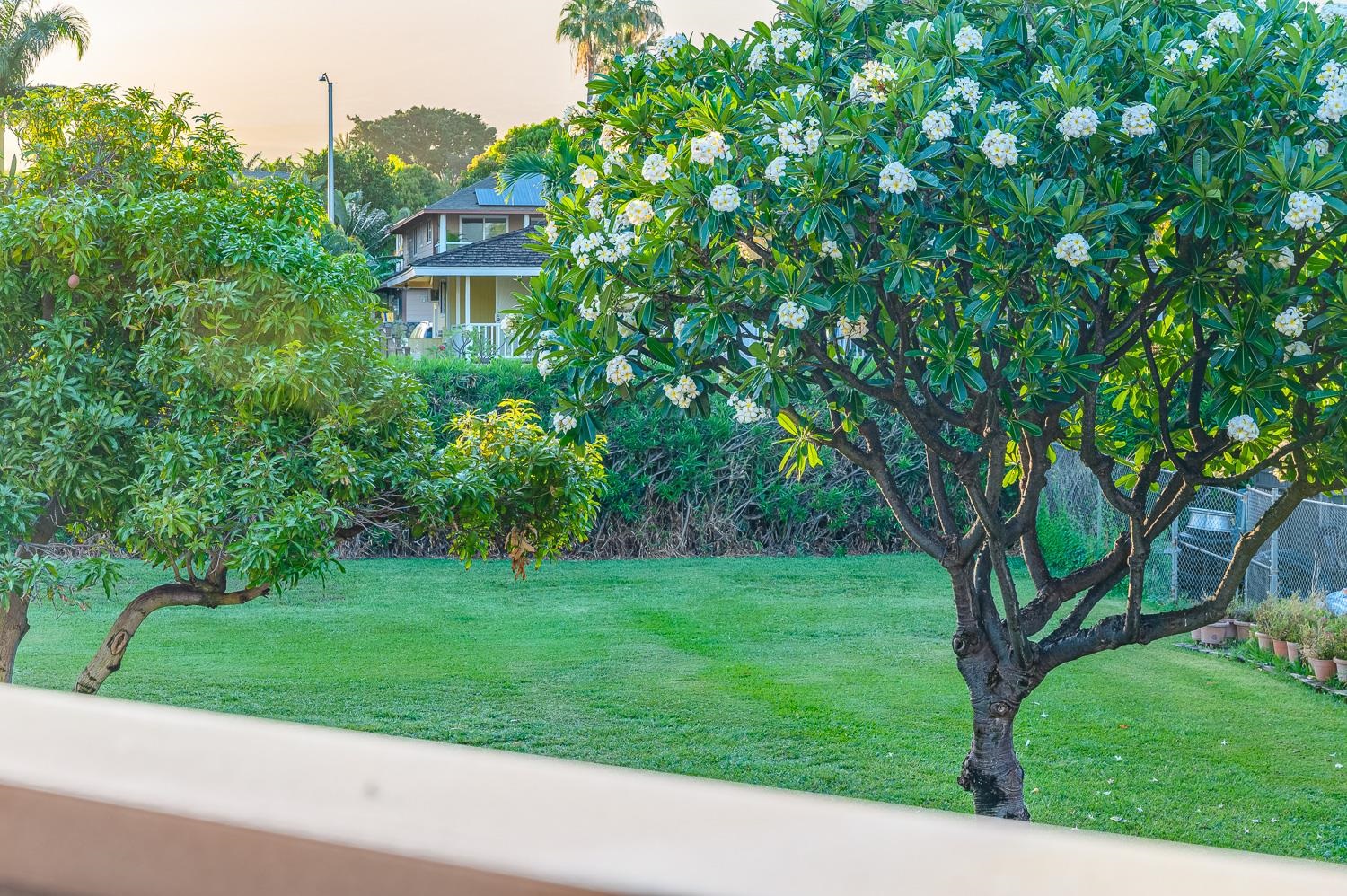 Maui Kamaole condo # F209, Kihei, Hawaii - photo 40 of 47