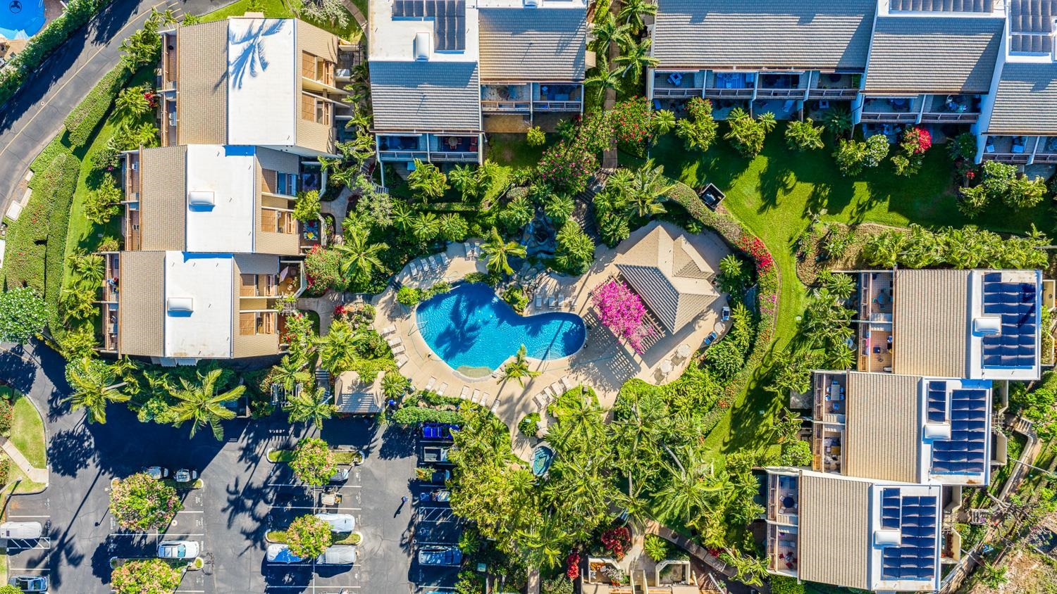 Maui Kamaole condo # F209, Kihei, Hawaii - photo 44 of 47