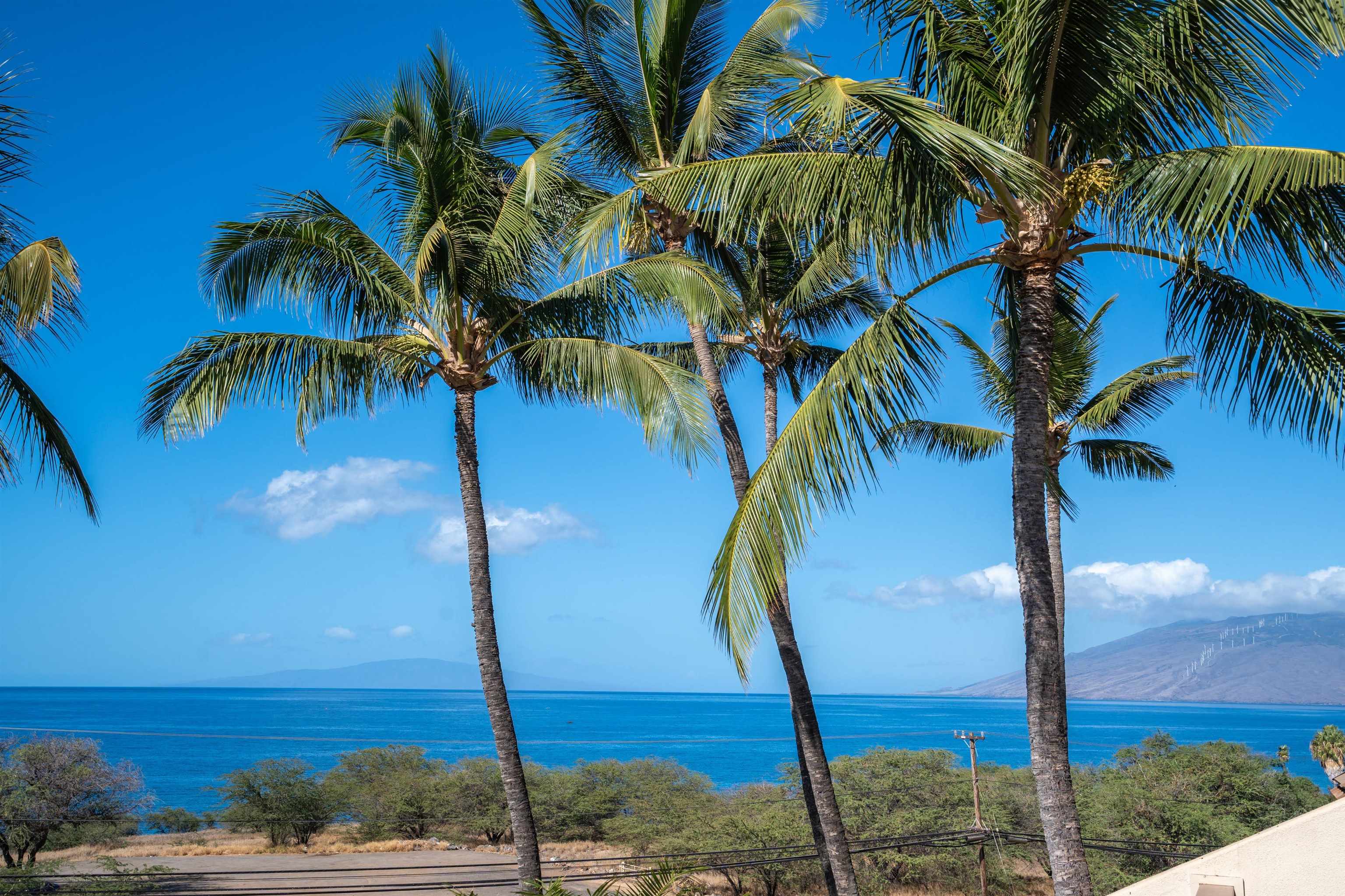 Maui Kamaole condo # G207, Kihei, Hawaii - photo 16 of 50