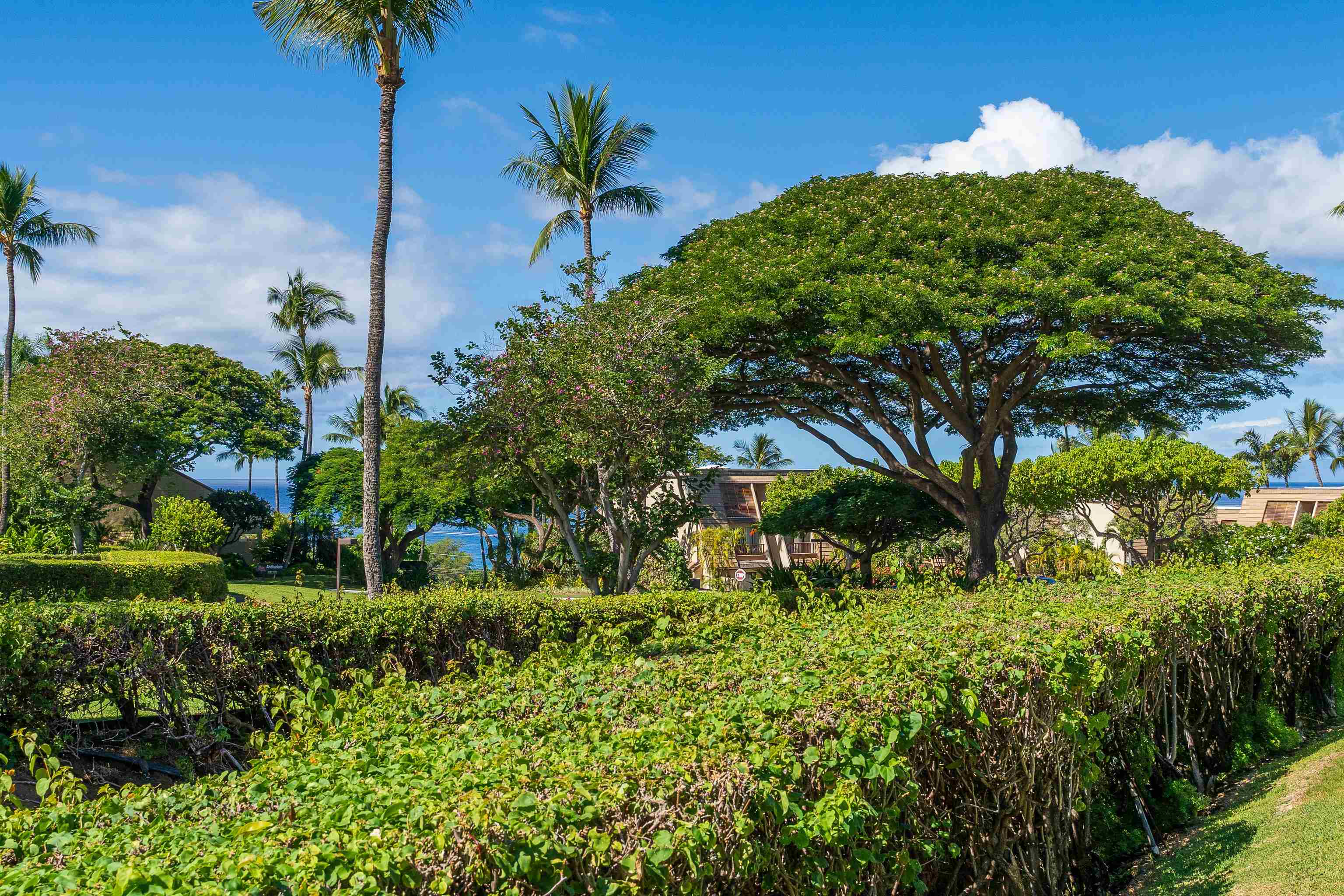 Maui Kamaole condo # I103, Kihei, Hawaii - photo 27 of 41