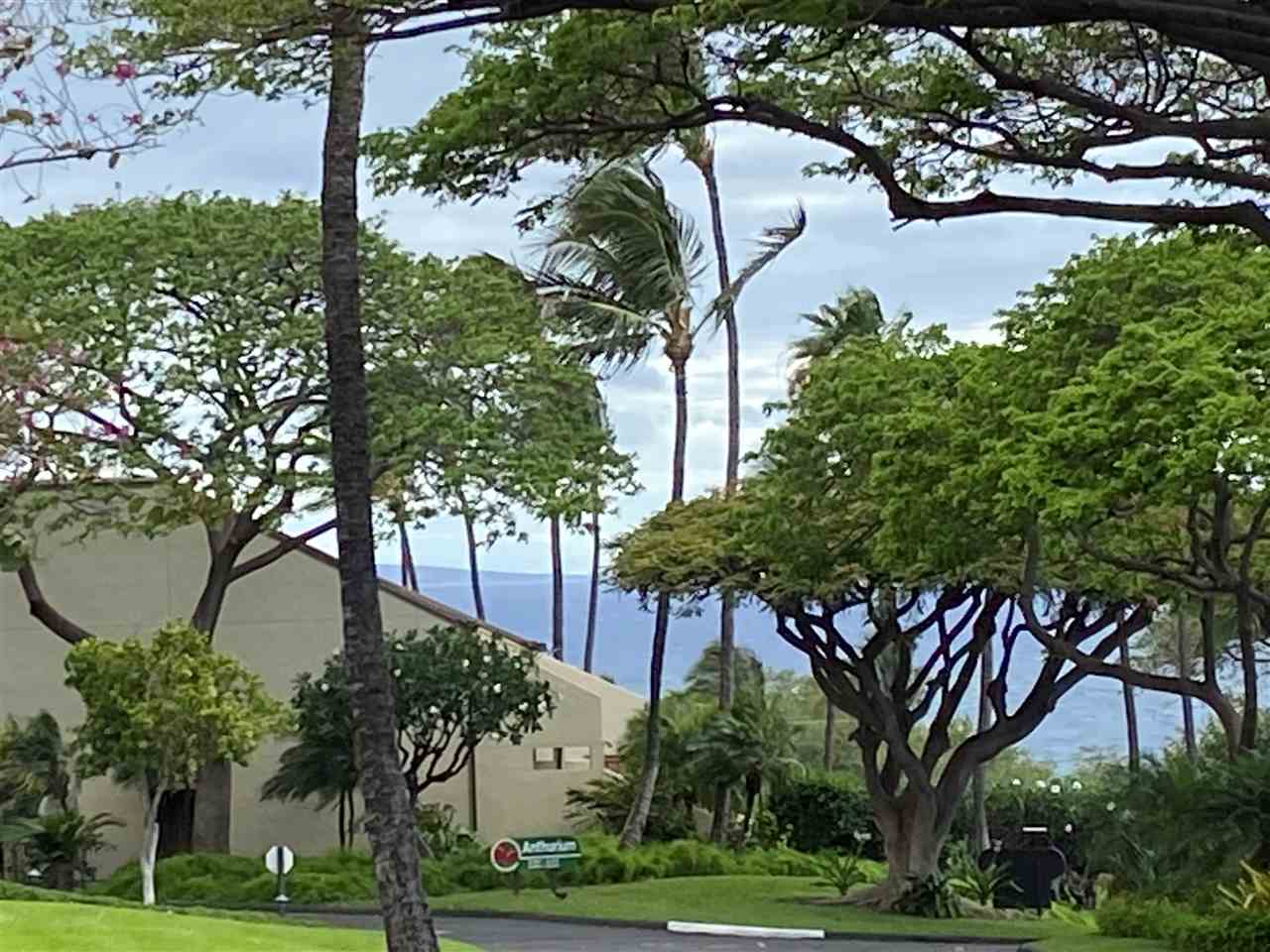 Maui Kamaole condo # I106, Kihei, Hawaii - photo 22 of 30