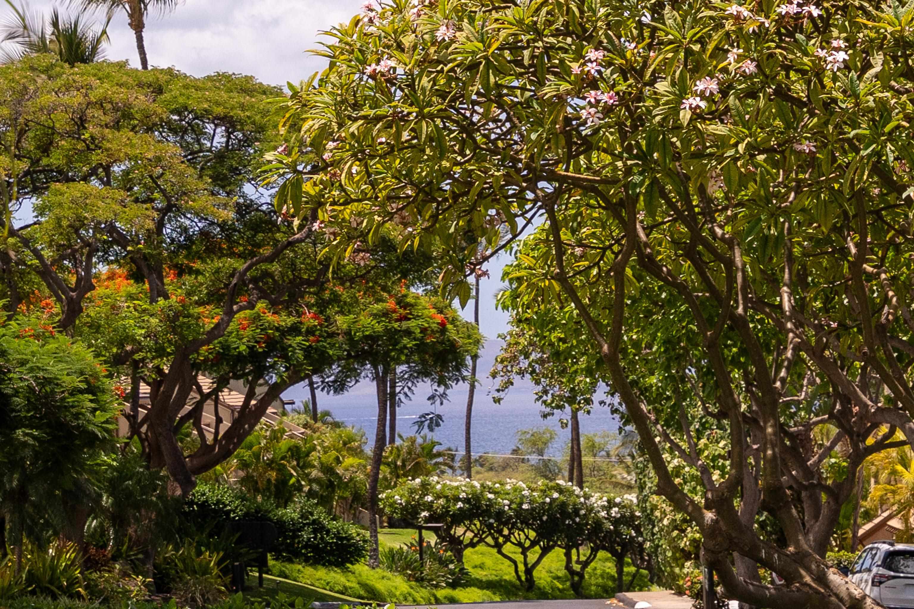 Maui Kamaole condo # I-110, Kihei, Hawaii - photo 5 of 40