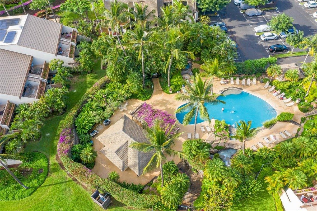 Maui Kamaole condo # J110, Kihei, Hawaii - photo 26 of 35