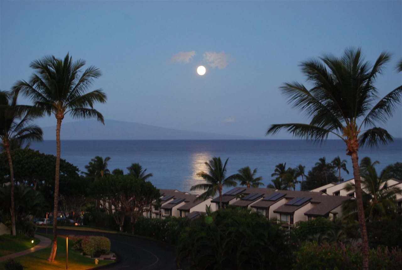 Maui Kamaole condo # J217, Kihei, Hawaii - photo 28 of 30