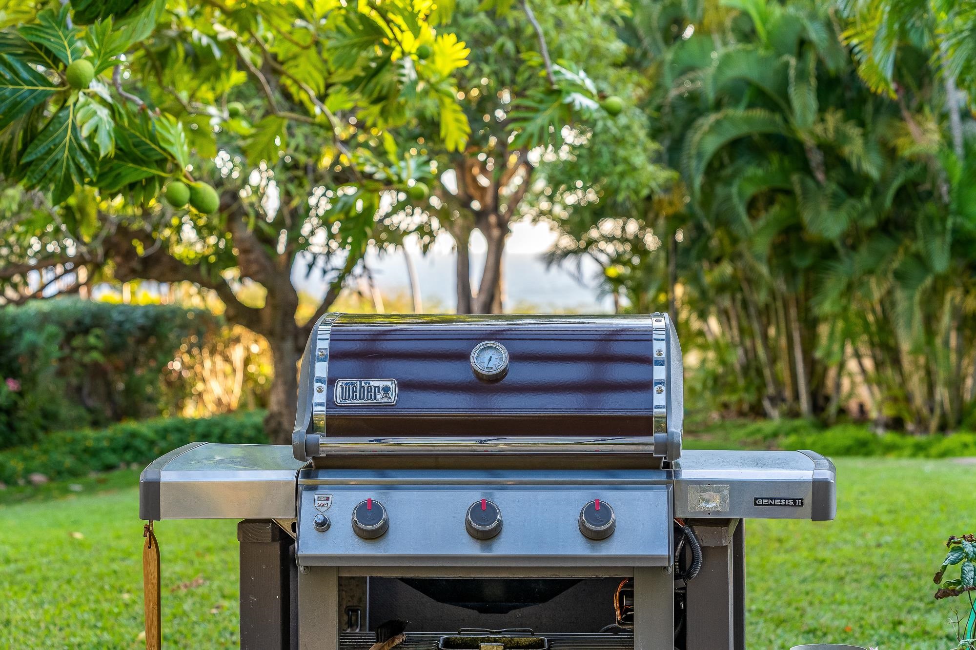 Maui Kamaole condo # K102, Kihei, Hawaii - photo 40 of 41