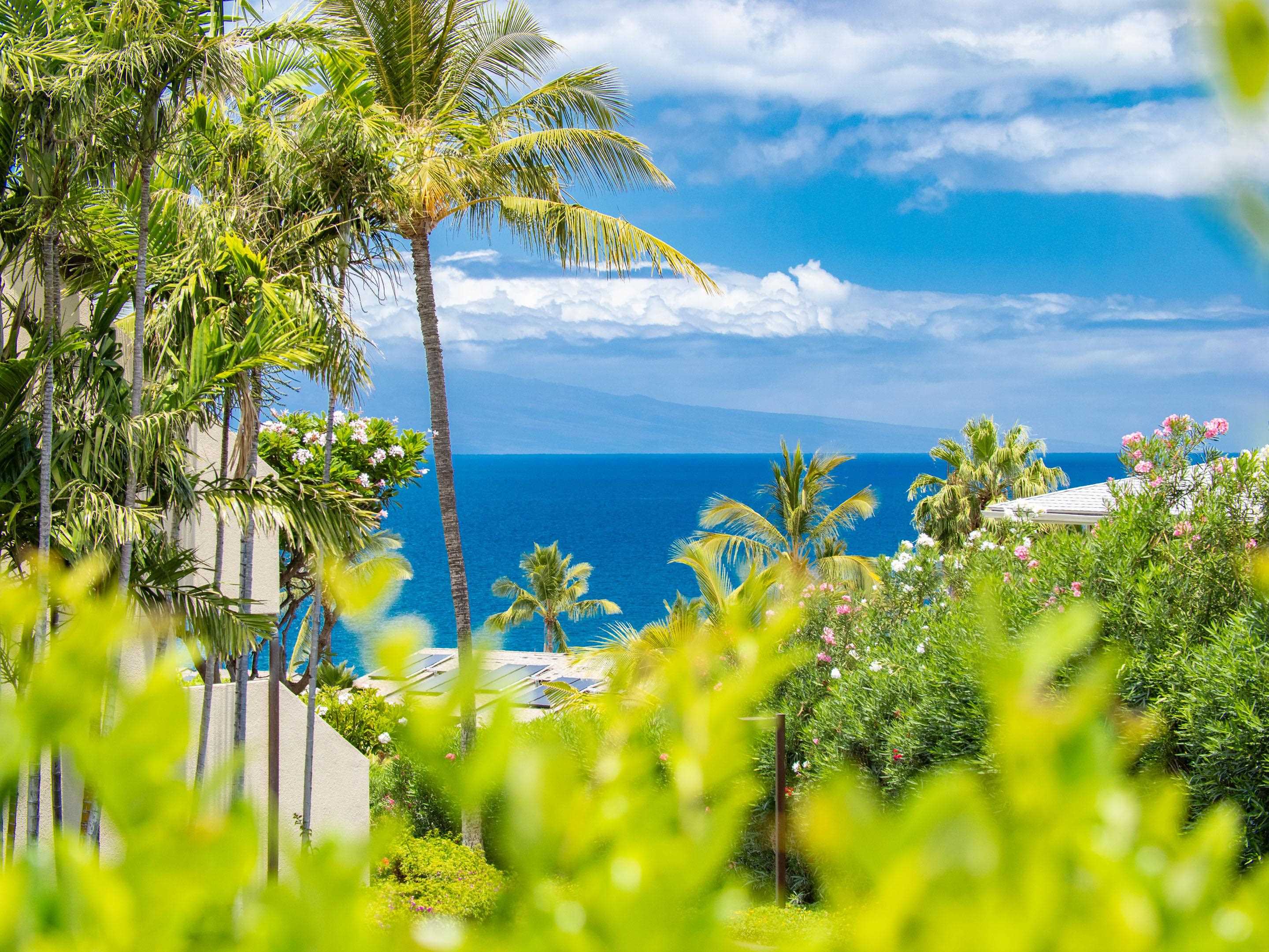 Maui Kamaole condo # L103, Kihei, Hawaii - photo 2 of 36