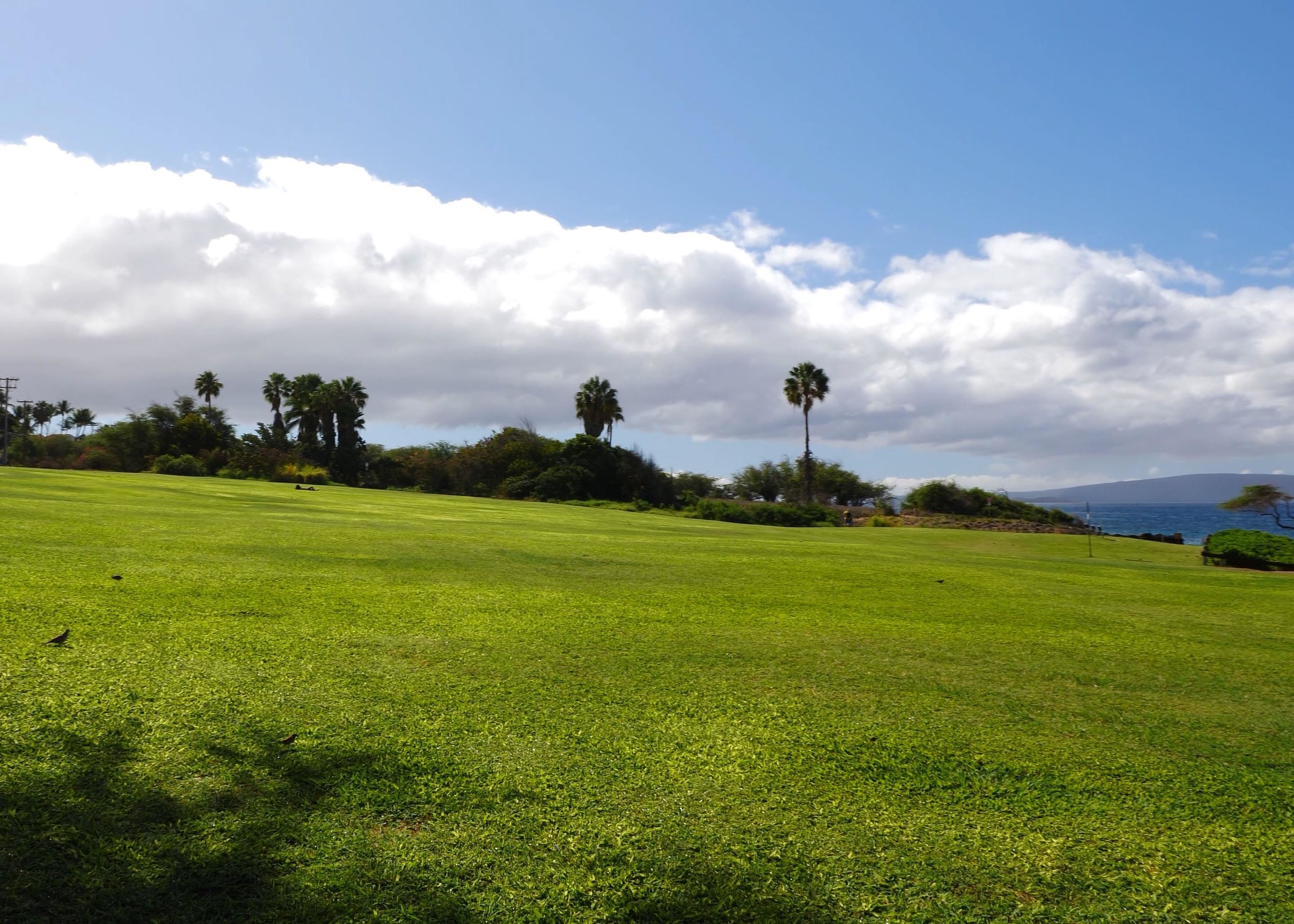 Maui Kamaole condo # L103, Kihei, Hawaii - photo 33 of 36