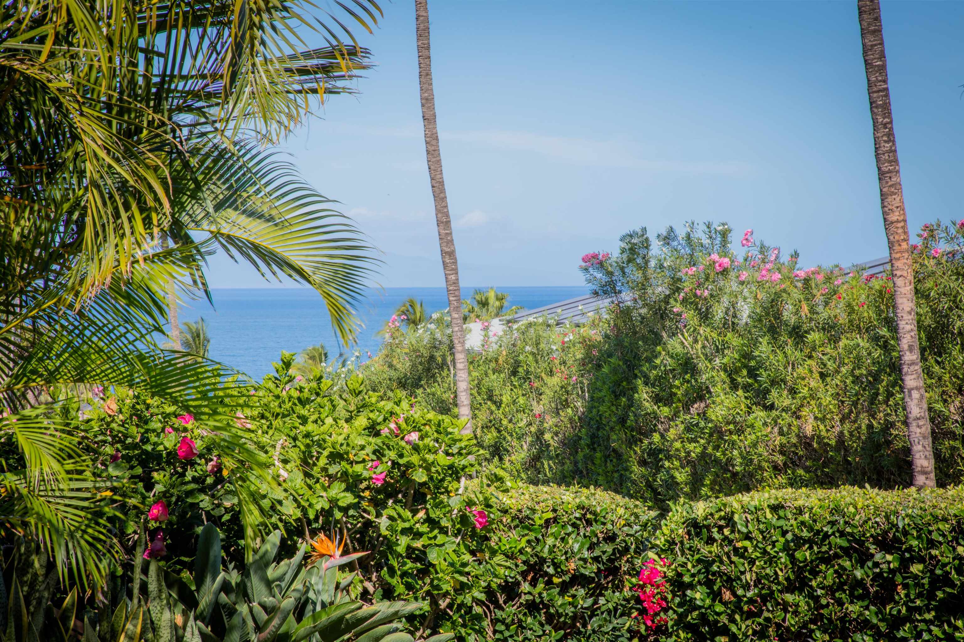 Maui Kamaole condo # L-105, Kihei, Hawaii - photo 29 of 41