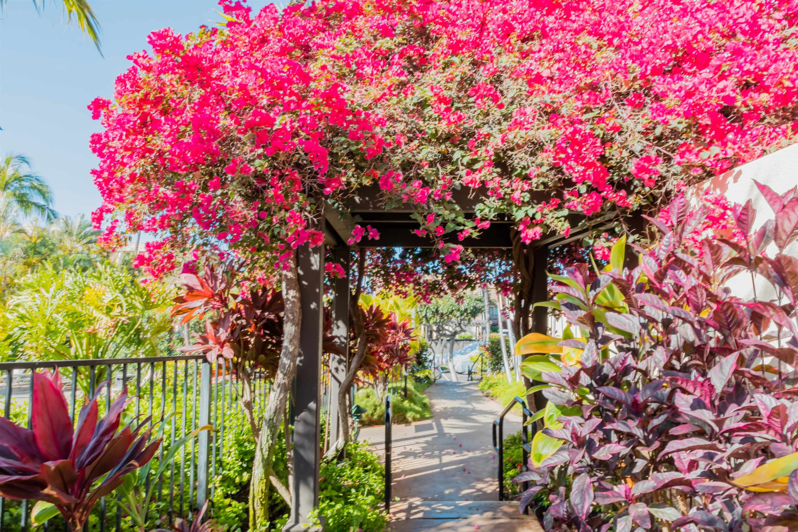 Maui Kamaole condo # L-105, Kihei, Hawaii - photo 34 of 45