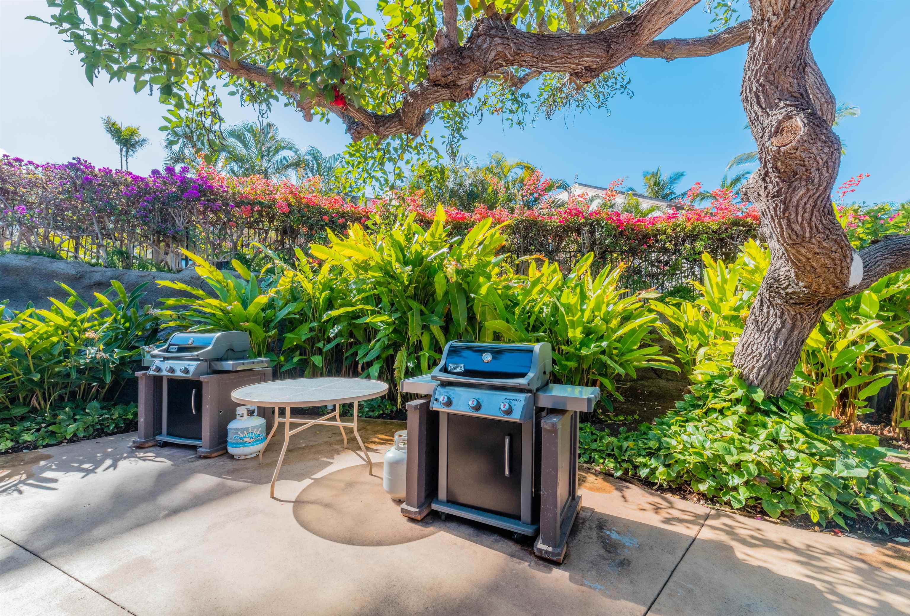 Maui Kamaole condo # L-105, Kihei, Hawaii - photo 38 of 45