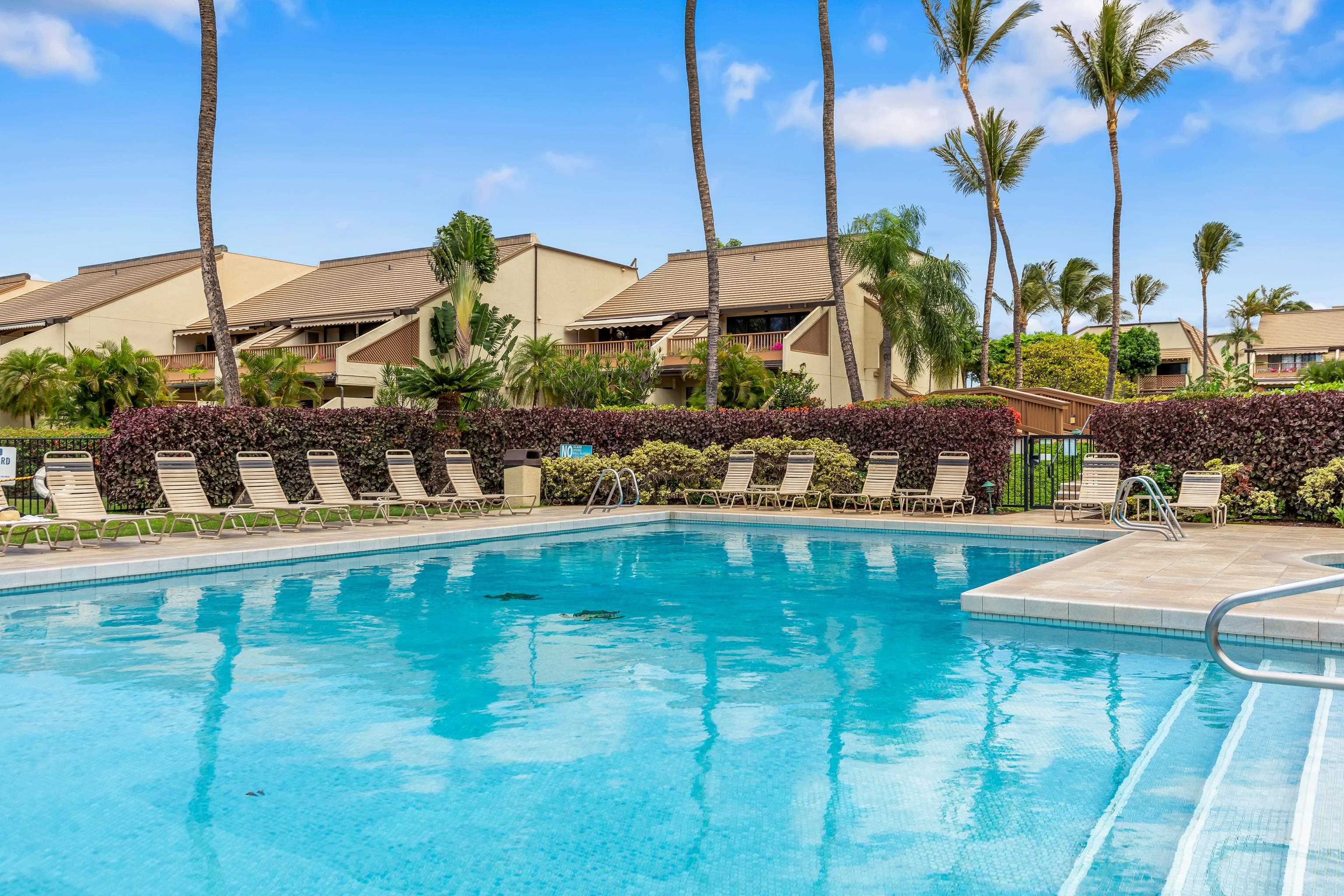 Maui Kamaole condo # L204, Kihei, Hawaii - photo 32 of 49