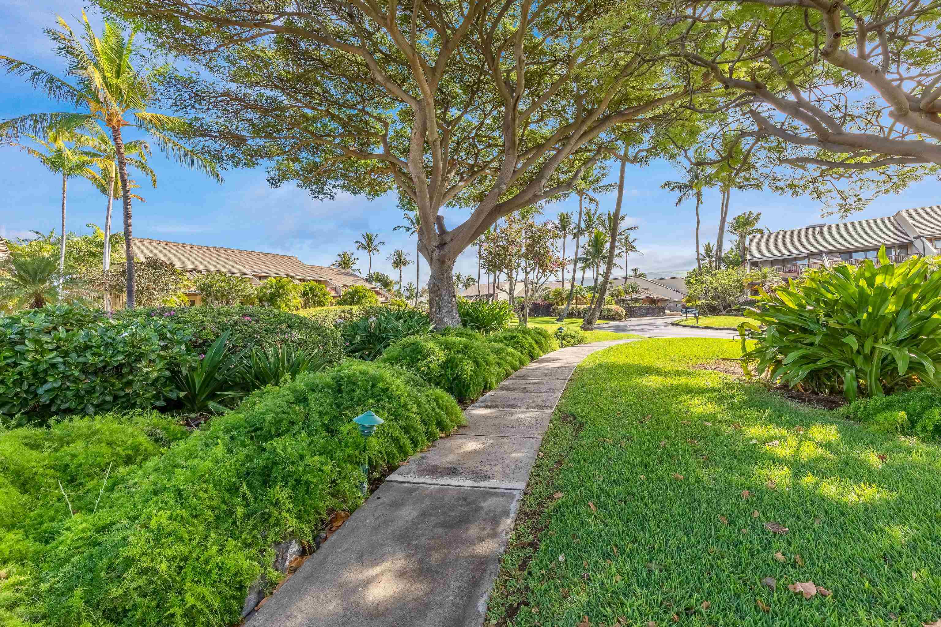 Maui Kamaole condo # L204, Kihei, Hawaii - photo 36 of 49