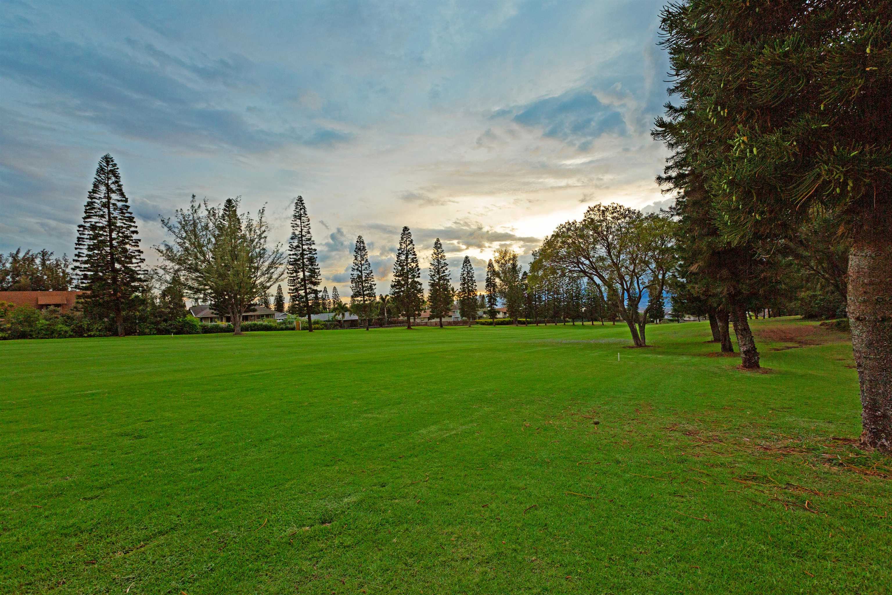 2790  Olulani St Pukalani Golf Course, Pukalani home - photo 25 of 26