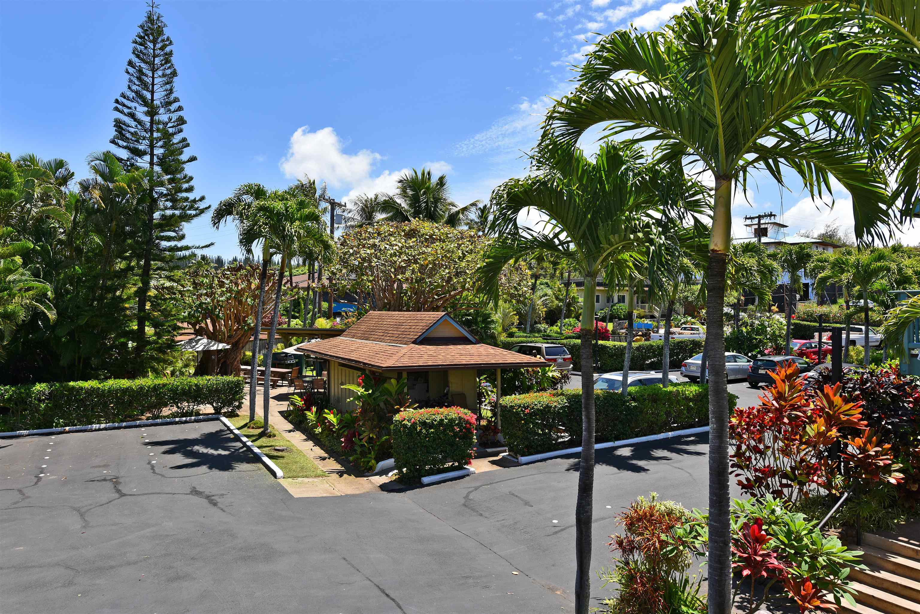 Napili Bay condo # 214, Lahaina, Hawaii - photo 30 of 50