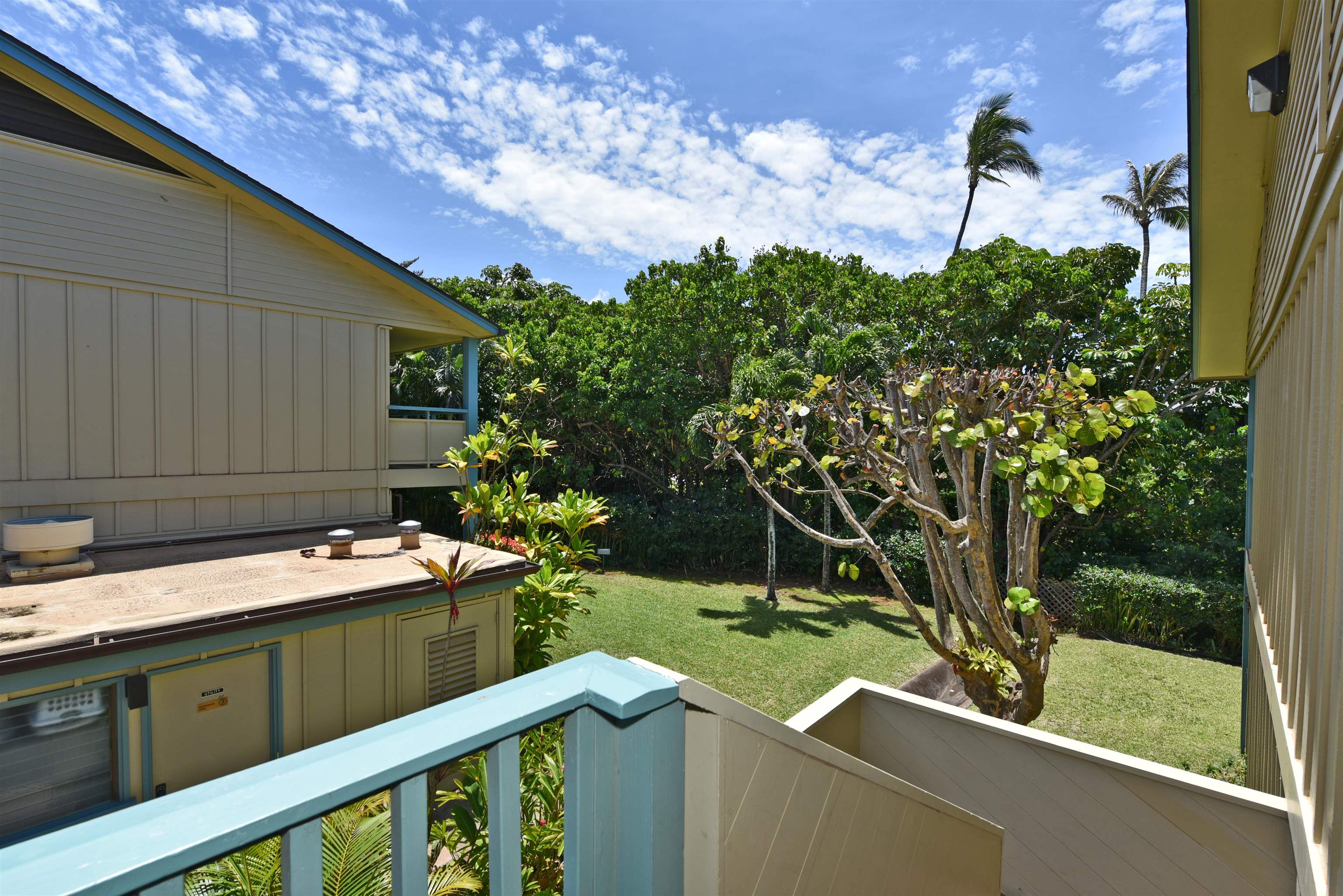 Napili Bay condo # 214, Lahaina, Hawaii - photo 31 of 50