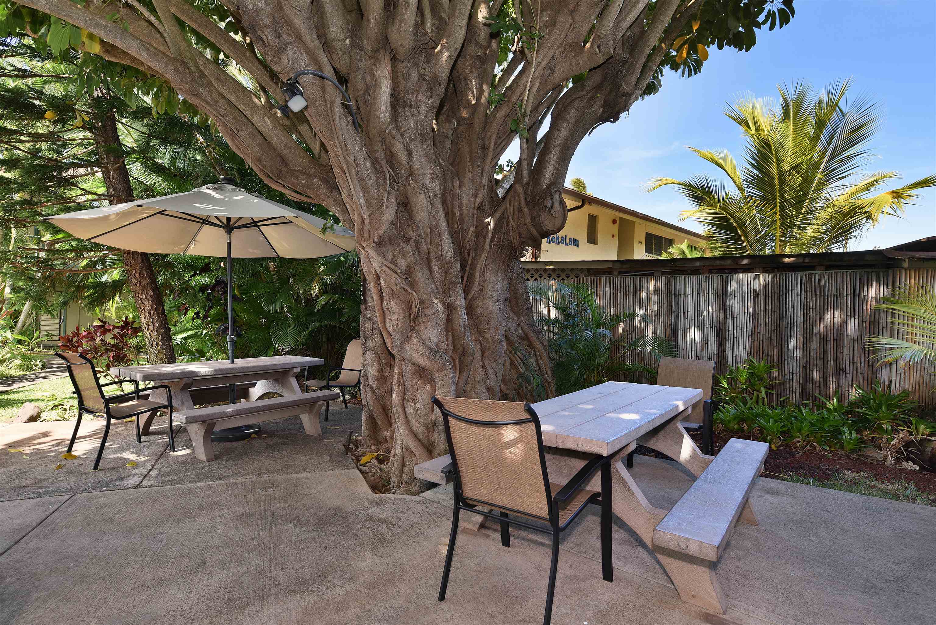 Napili Bay condo # 214, Lahaina, Hawaii - photo 34 of 50