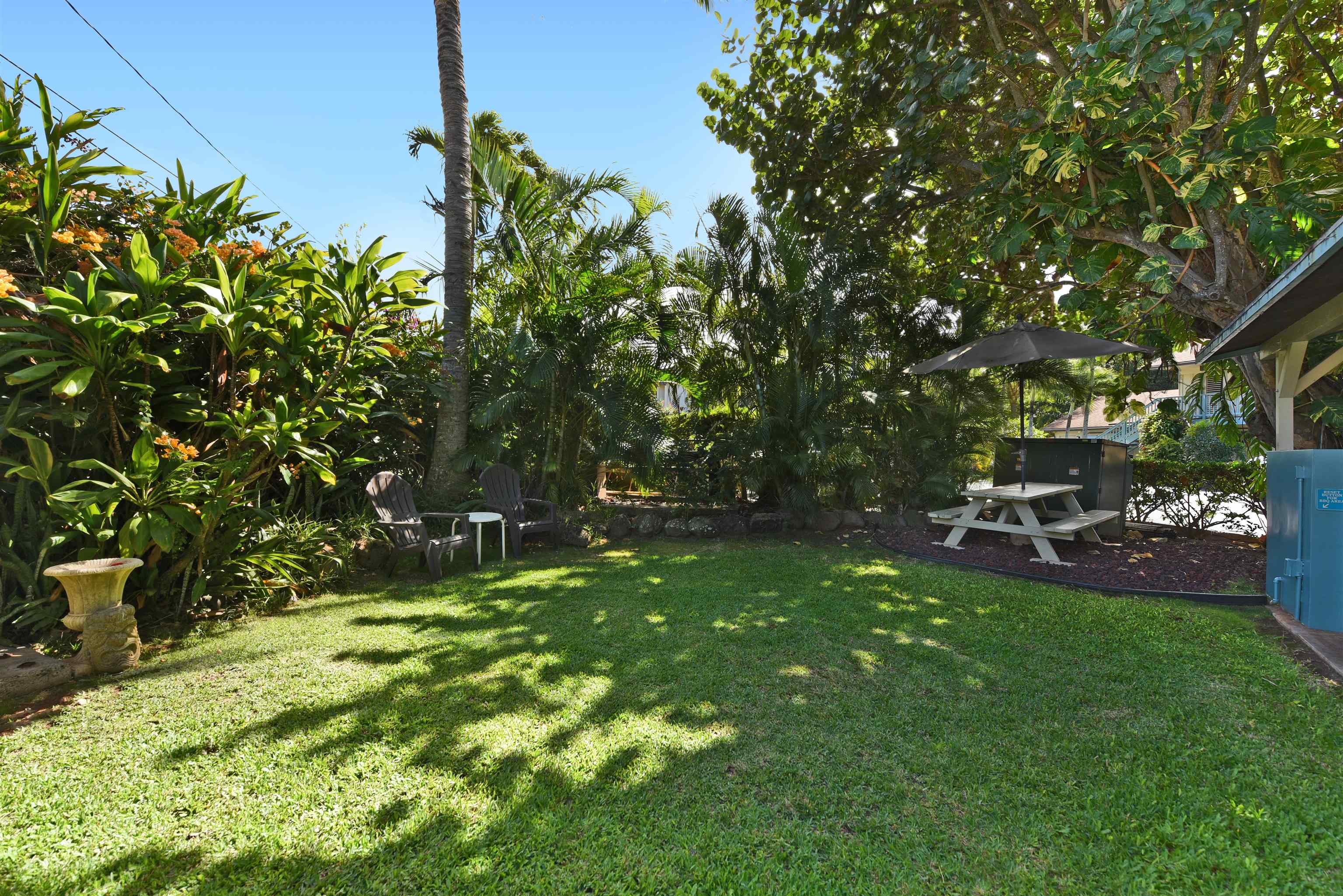 Napili Bay condo # 214, Lahaina, Hawaii - photo 36 of 50