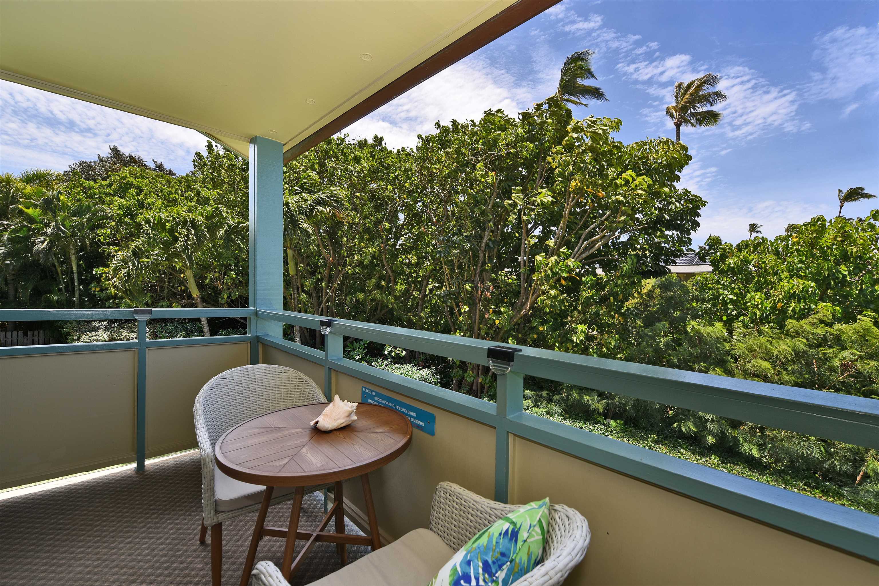 Napili Bay condo # 214, Lahaina, Hawaii - photo 40 of 50