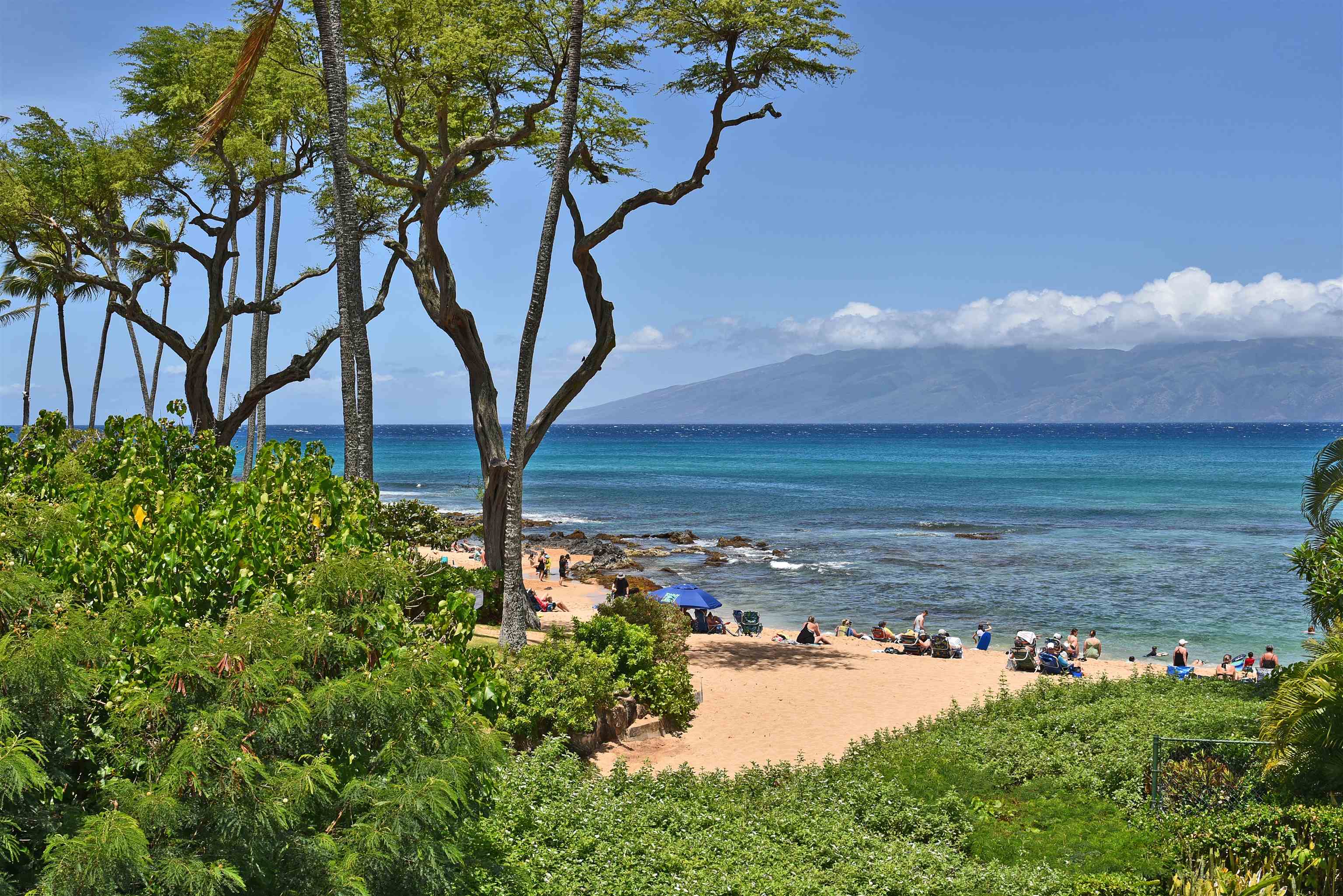 Napili Bay condo # 214, Lahaina, Hawaii - photo 41 of 50