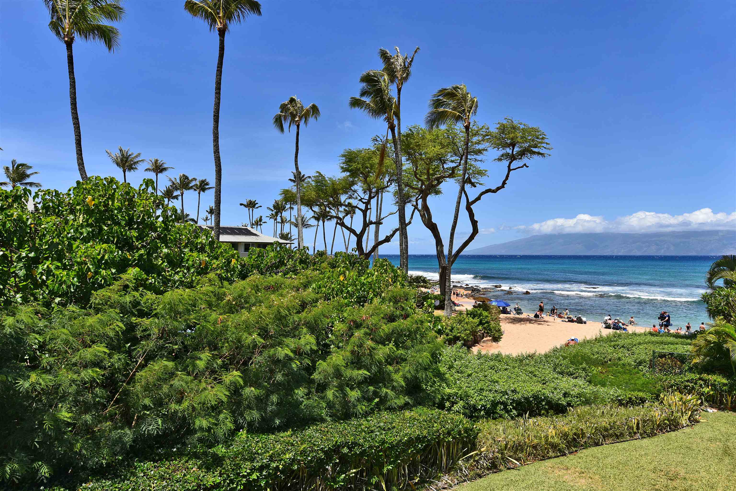 Napili Bay condo # 214, Lahaina, Hawaii - photo 42 of 50