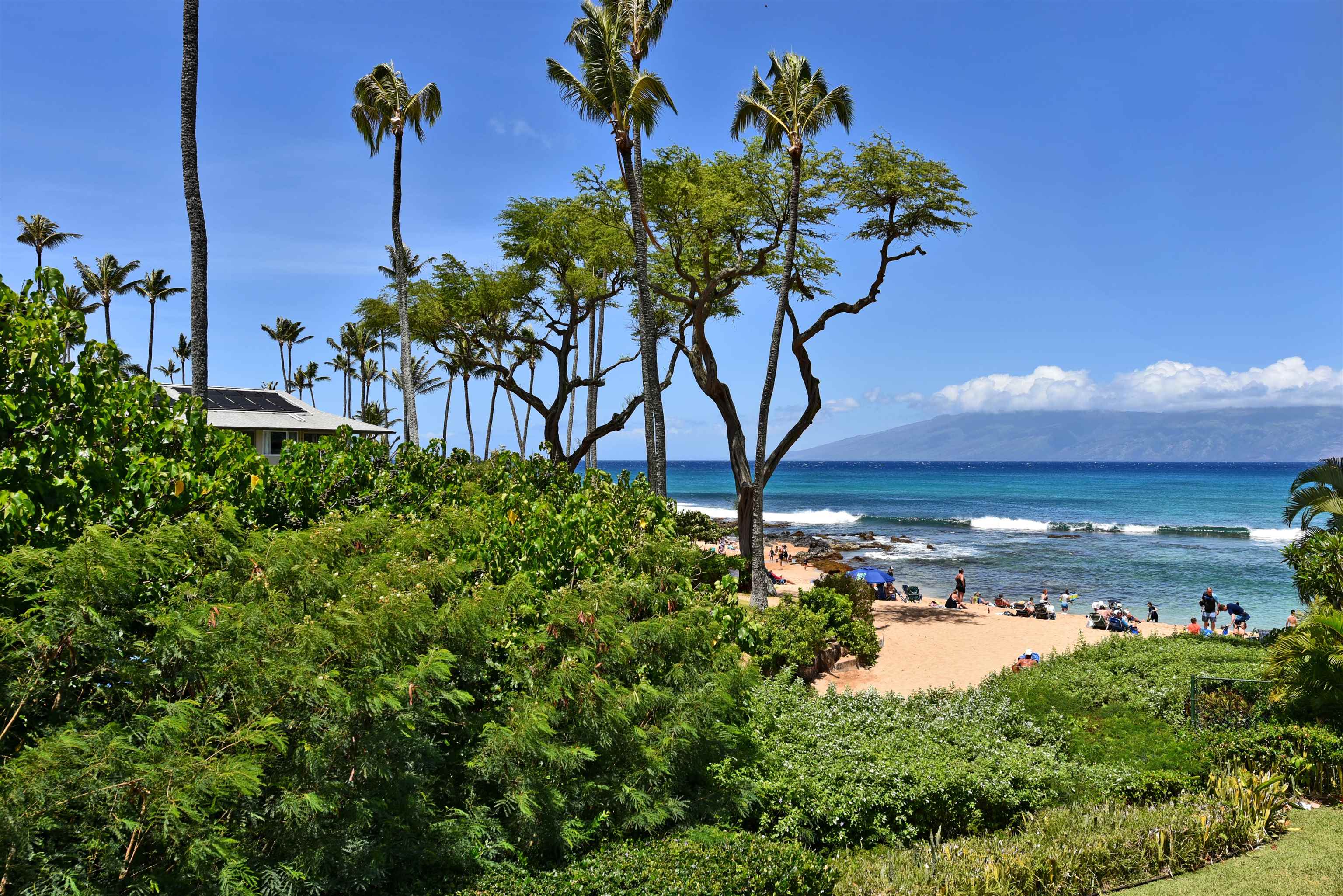 Napili Bay condo # 214, Lahaina, Hawaii - photo 43 of 50