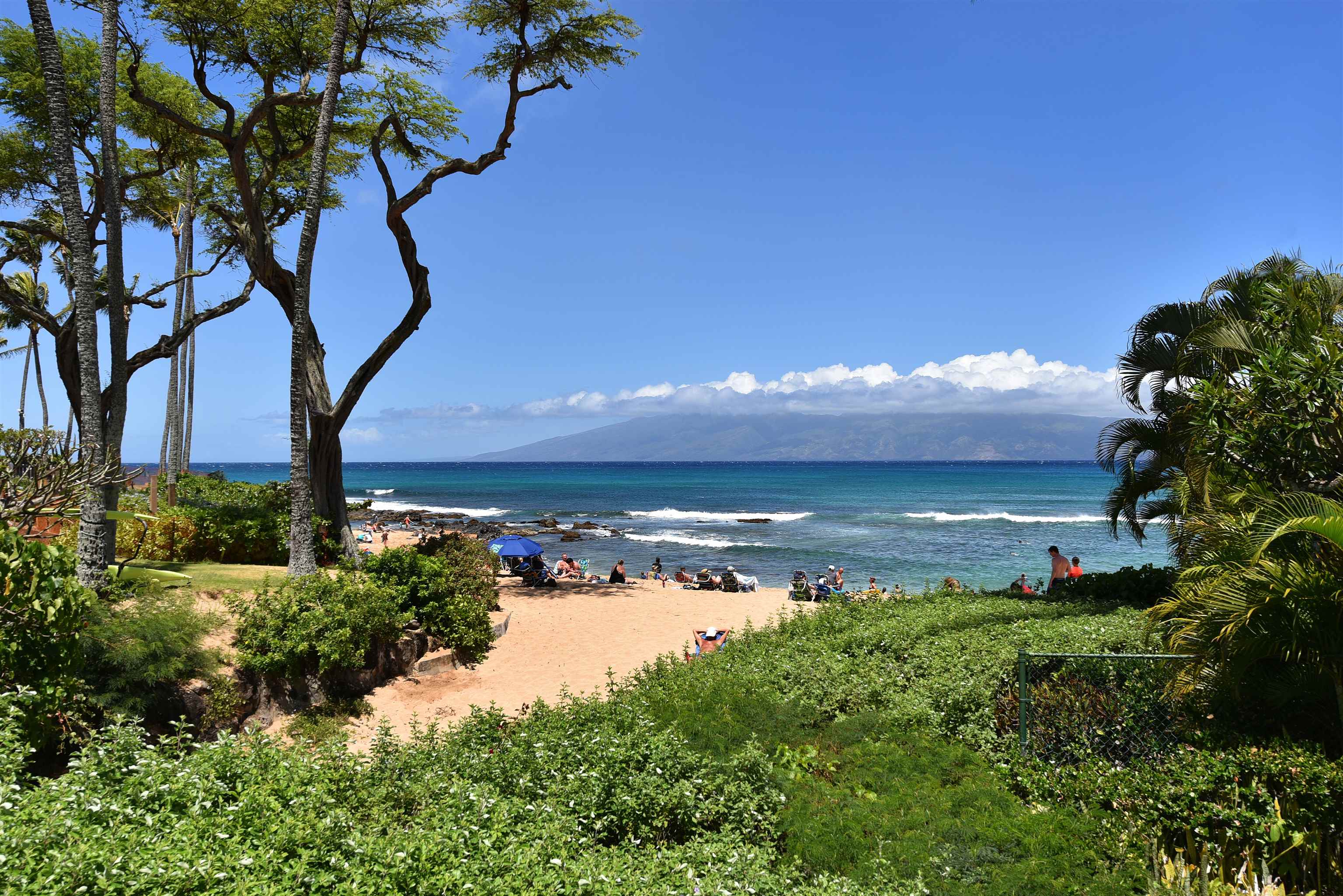 Napili Bay condo # 214, Lahaina, Hawaii - photo 45 of 50