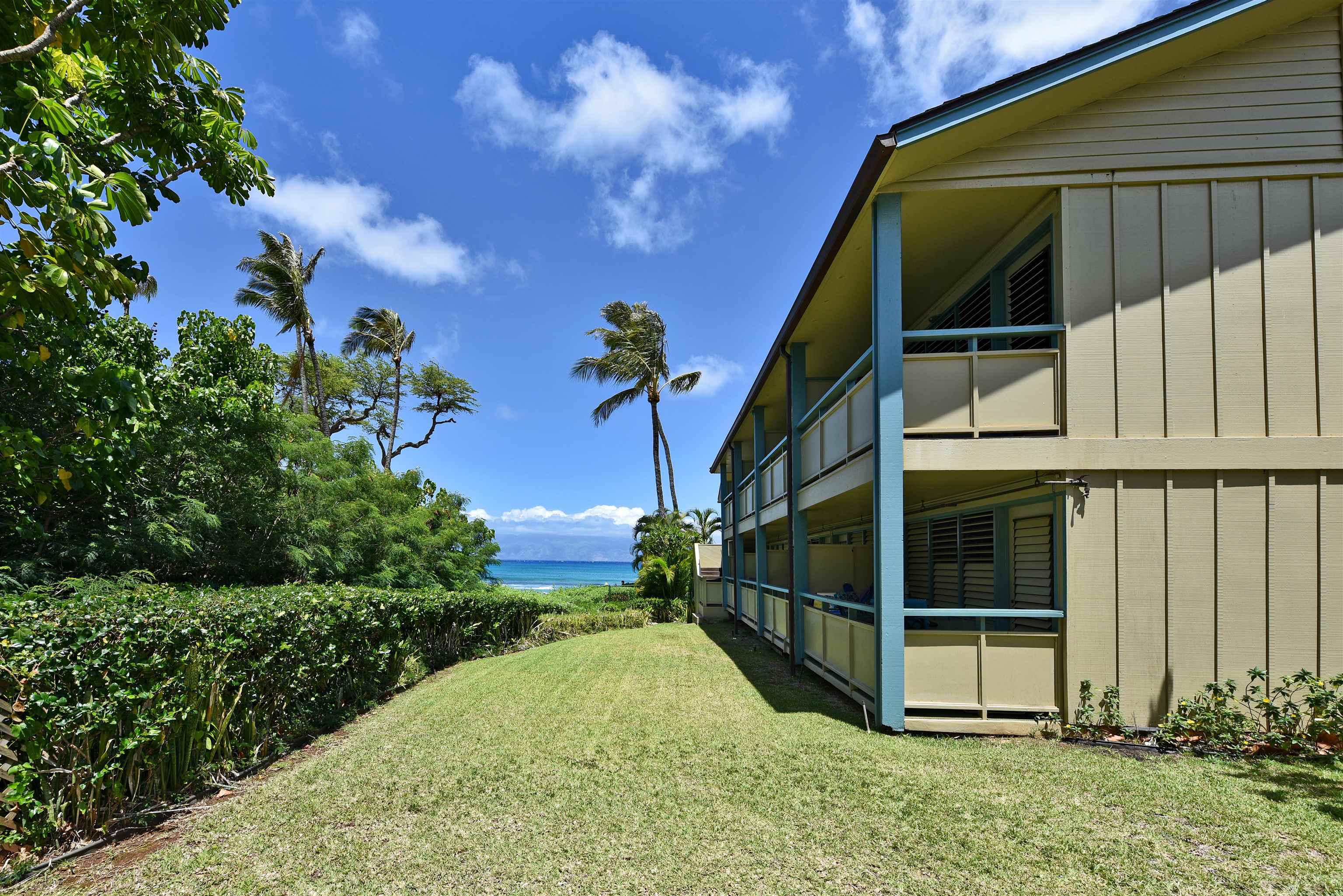 Napili Bay condo # 214, Lahaina, Hawaii - photo 47 of 50