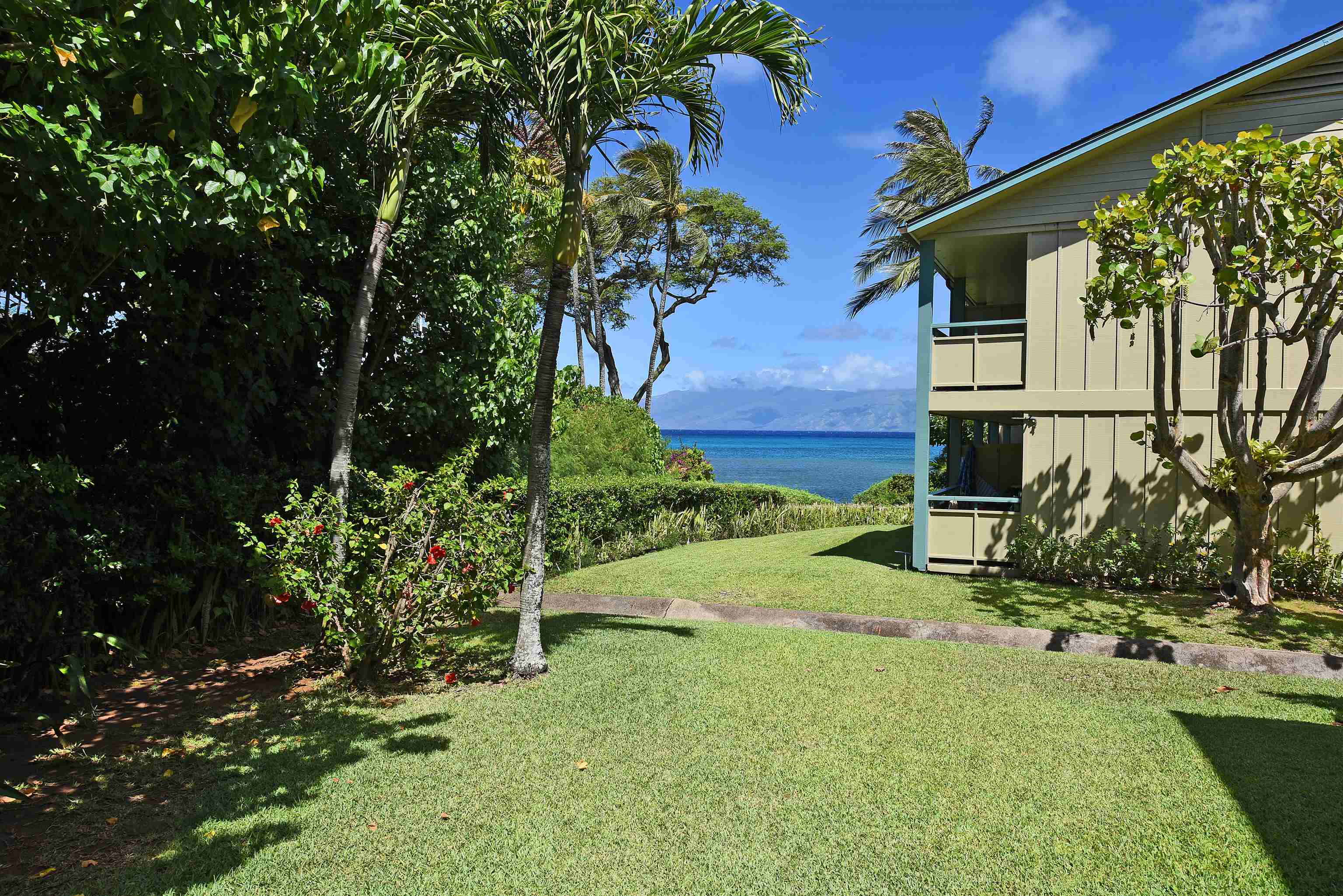 Napili Bay condo # 214, Lahaina, Hawaii - photo 48 of 50