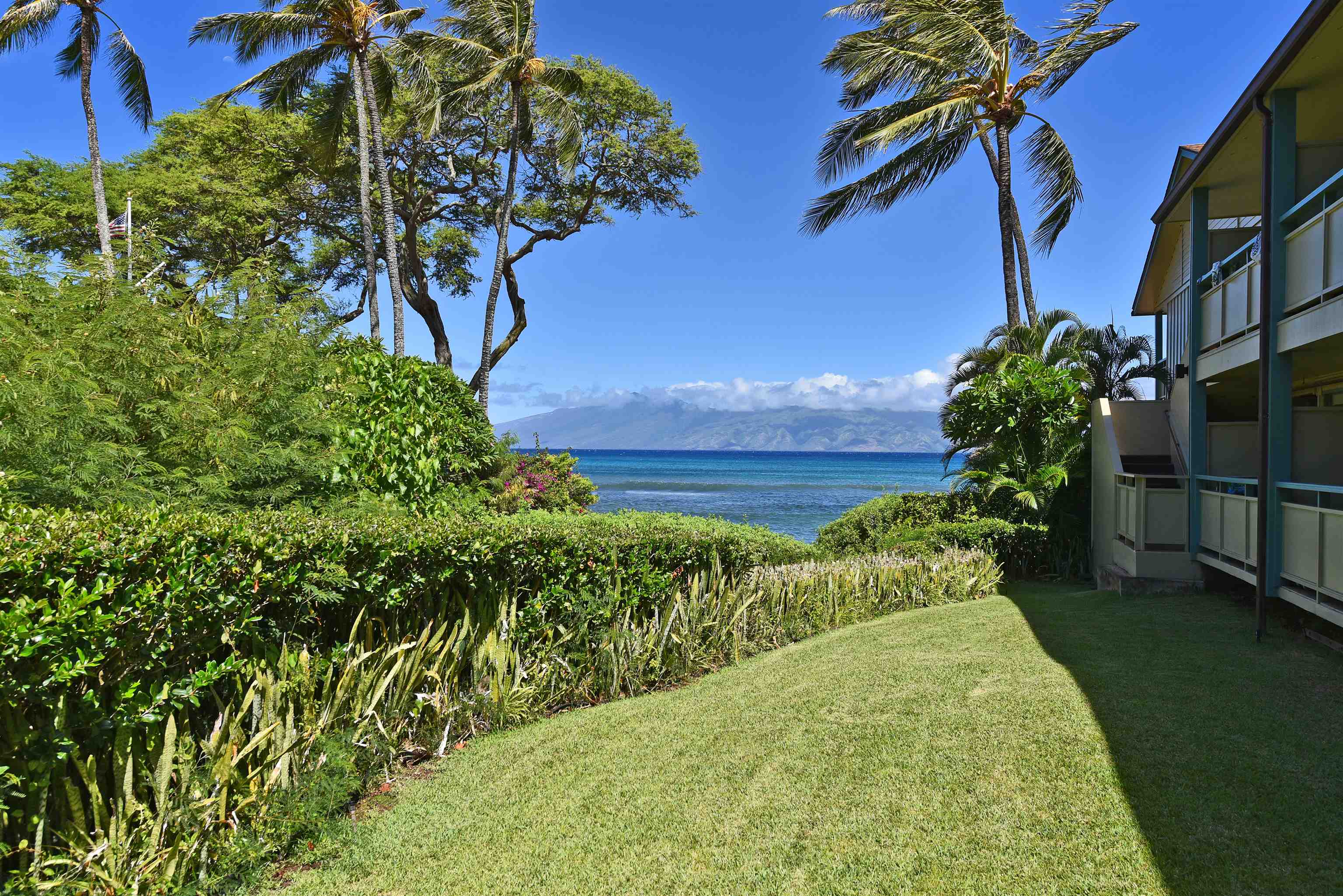 Napili Bay condo # 214, Lahaina, Hawaii - photo 49 of 50