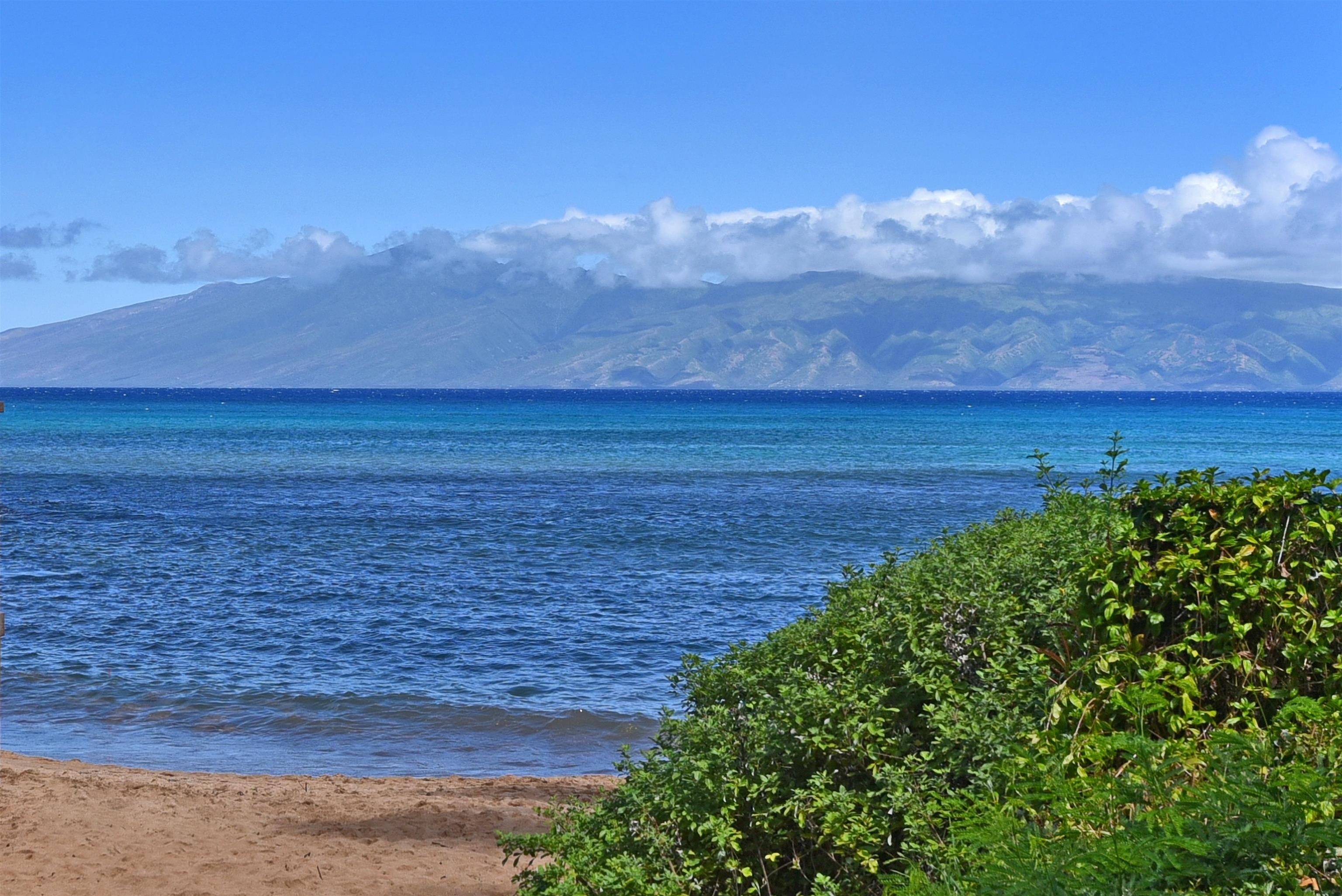 Napili Bay condo # 214, Lahaina, Hawaii - photo 50 of 50