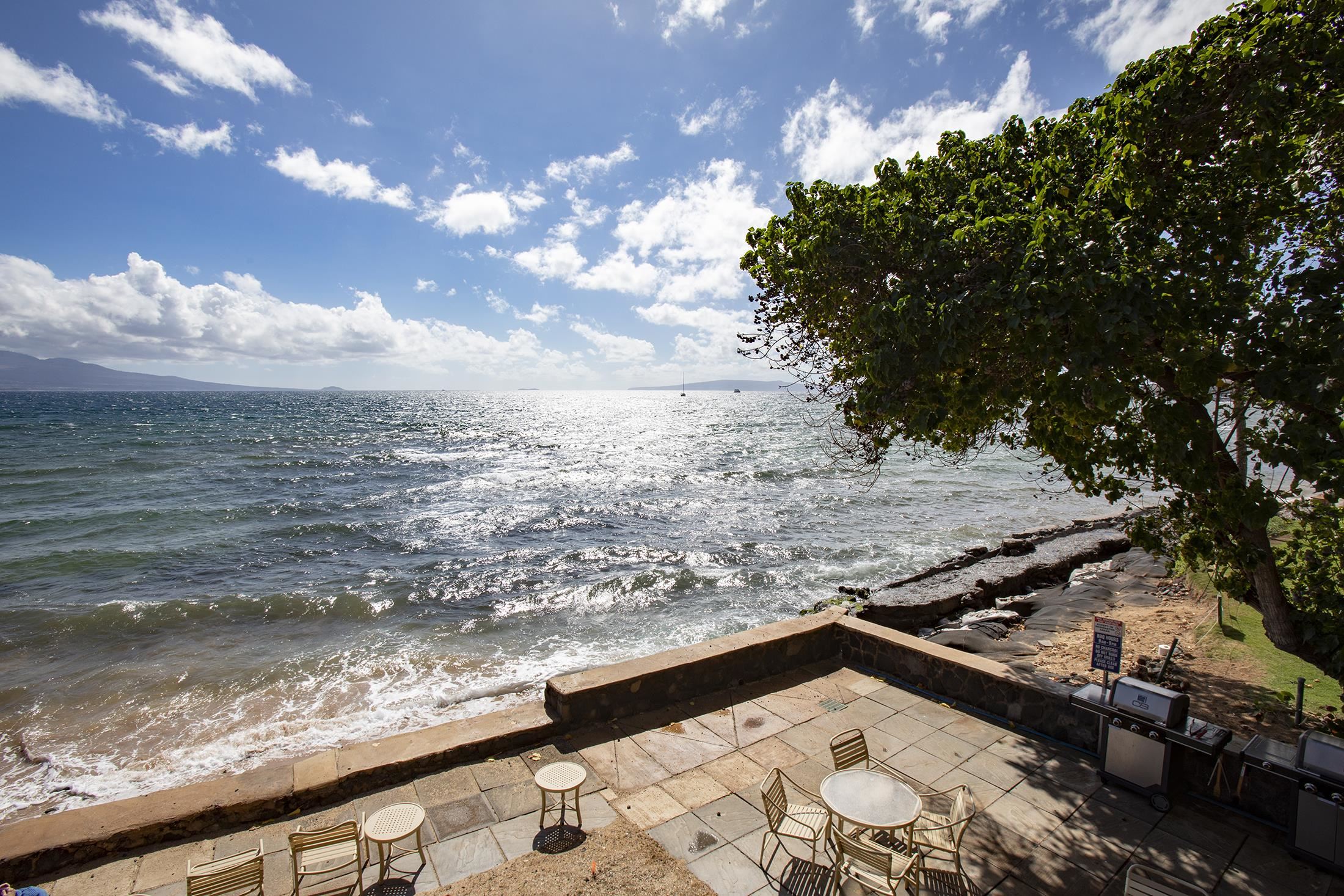 Hono Kai condo # 8B, Wailuku, Hawaii - photo 23 of 26