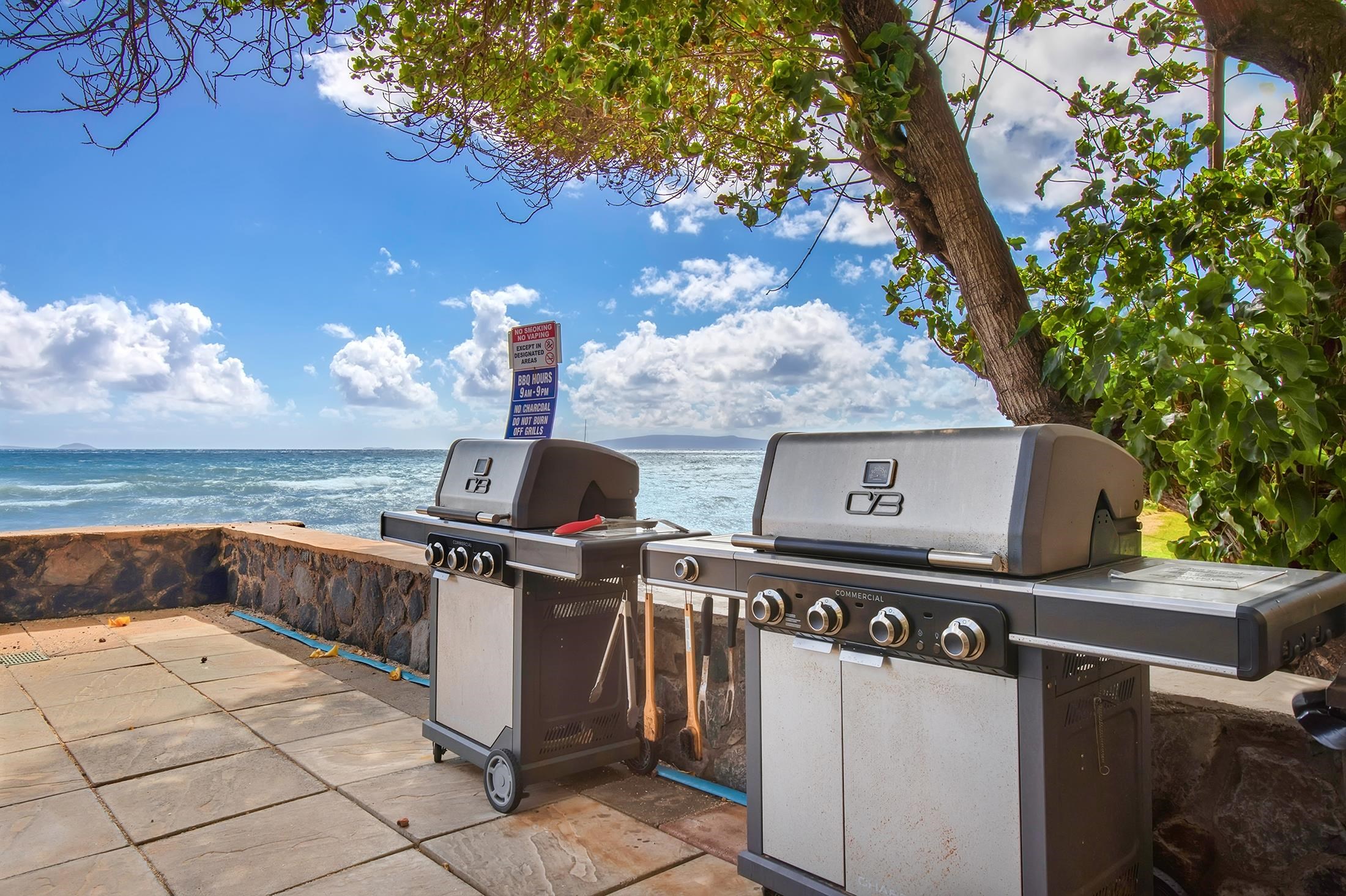 Hono Kai condo # 8B, Wailuku, Hawaii - photo 24 of 26