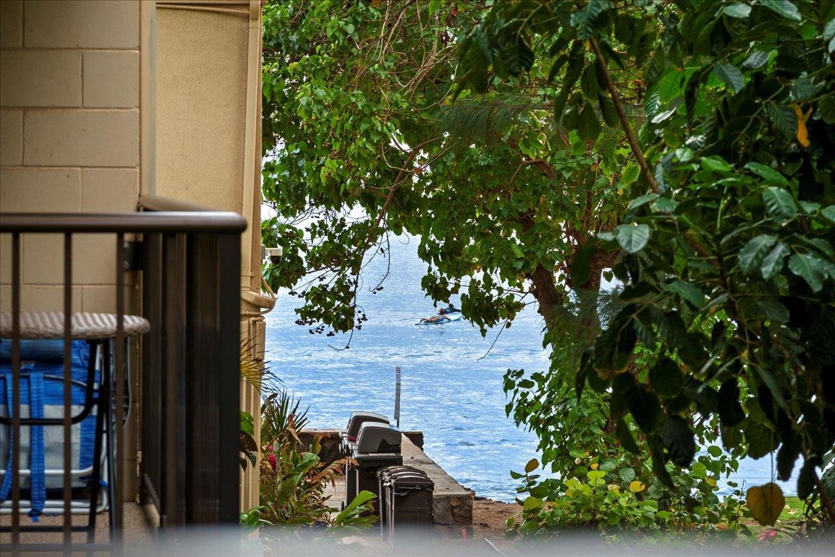 Hono Kai condo # B-15, Wailuku, Hawaii - photo 35 of 35