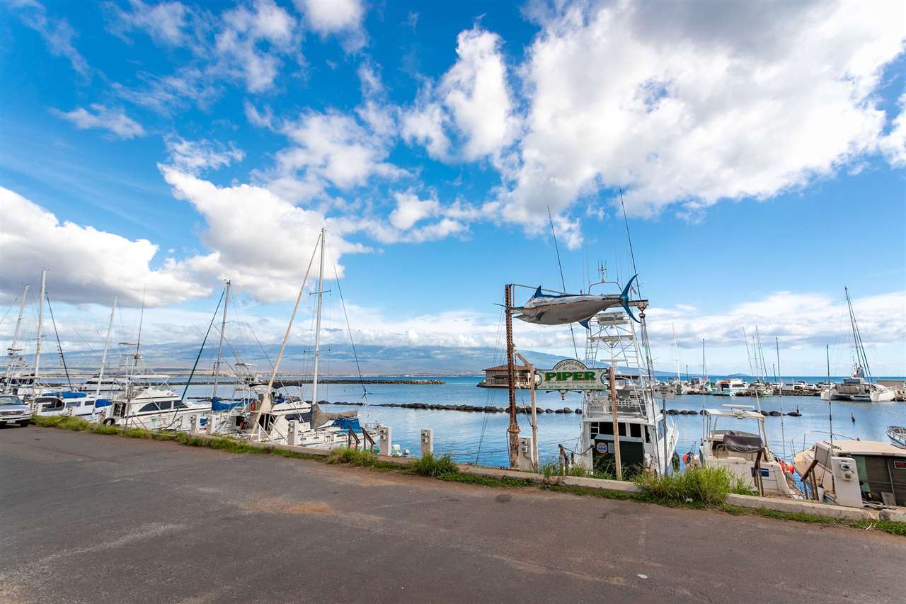 Hono Kai condo # C3, Wailuku, Hawaii - photo 29 of 30