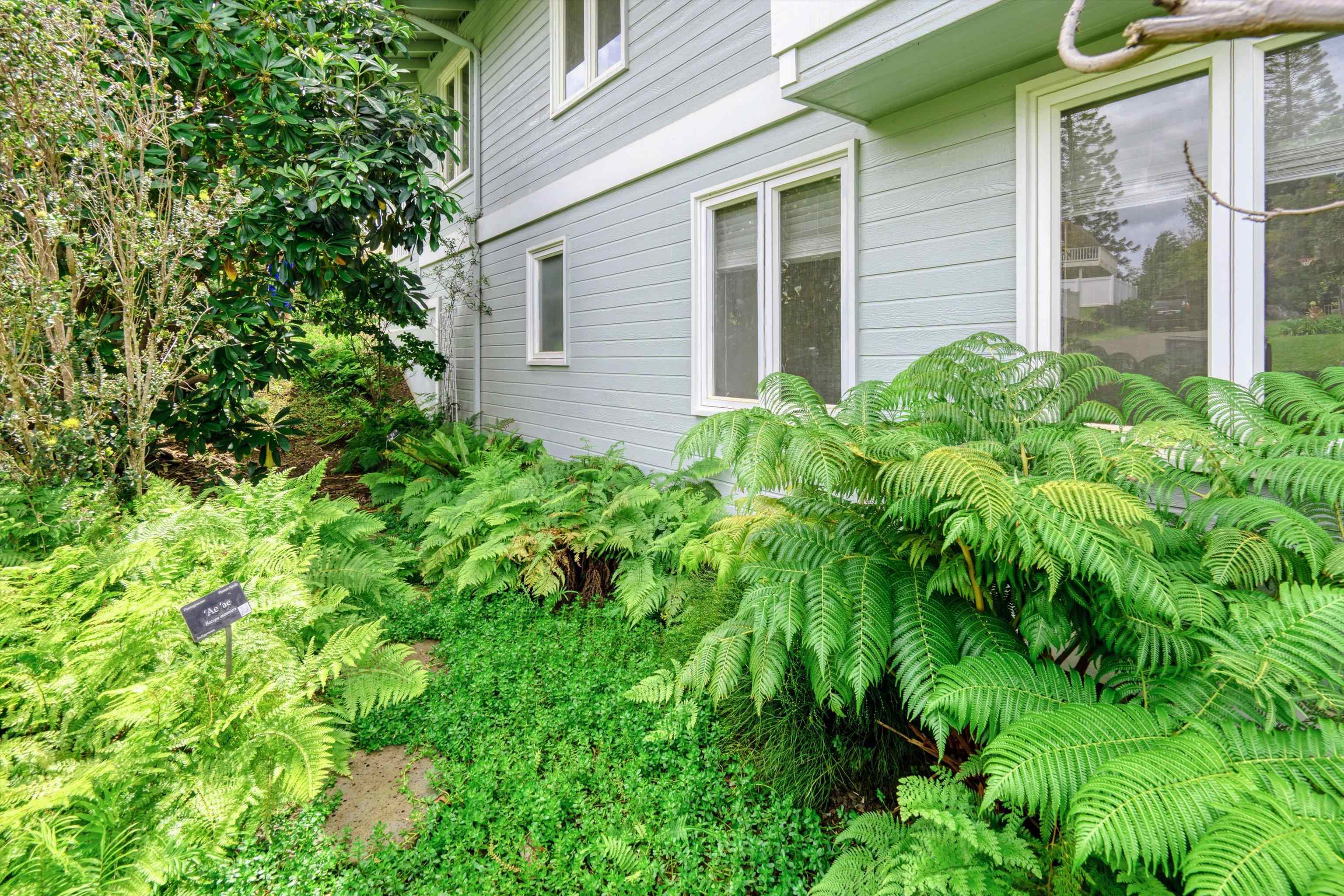 2811  Liholani St Pukalani Fairway Estates, Pukalani home - photo 43 of 50