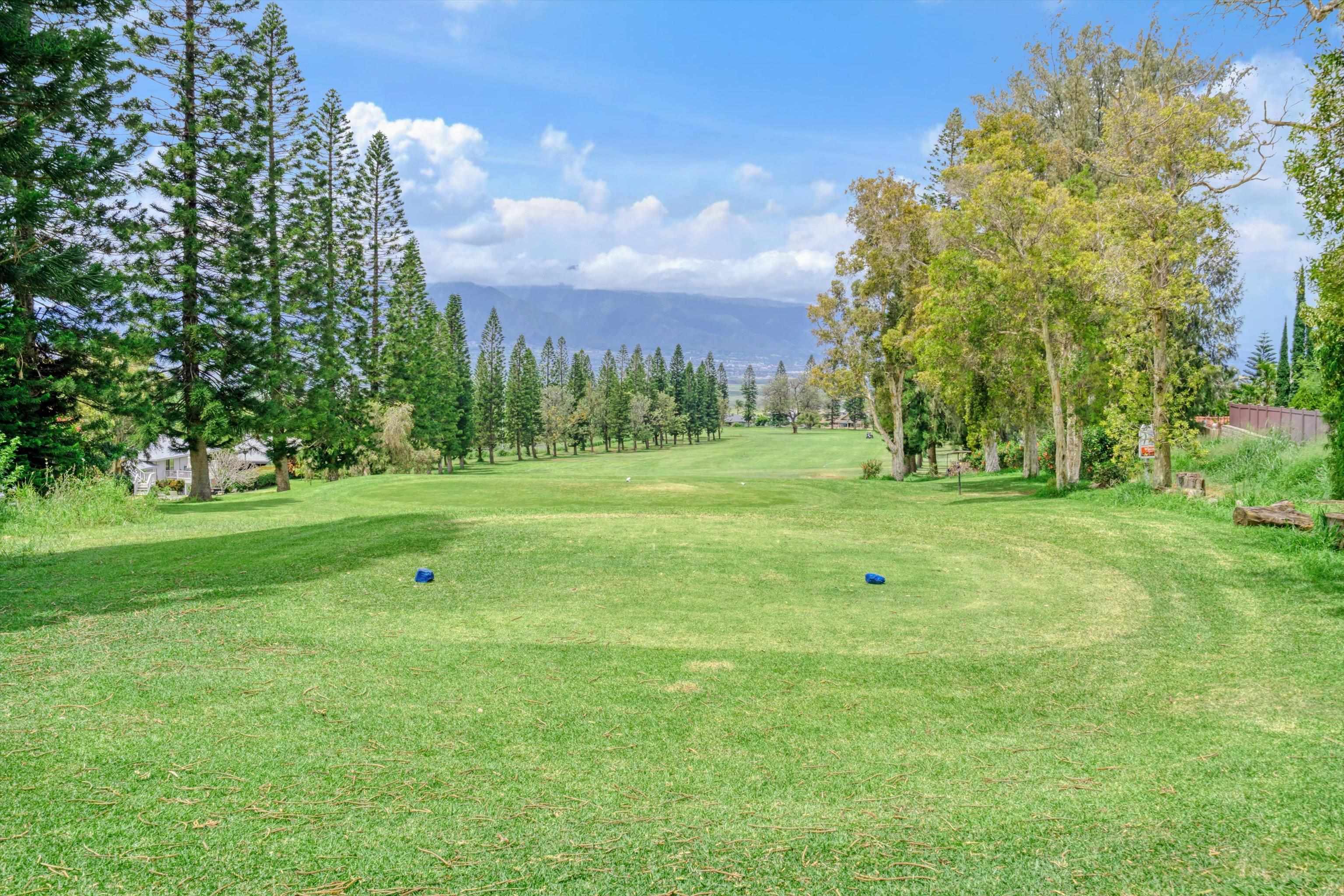 2811  Liholani St Pukalani Fairway Estates, Pukalani home - photo 45 of 50
