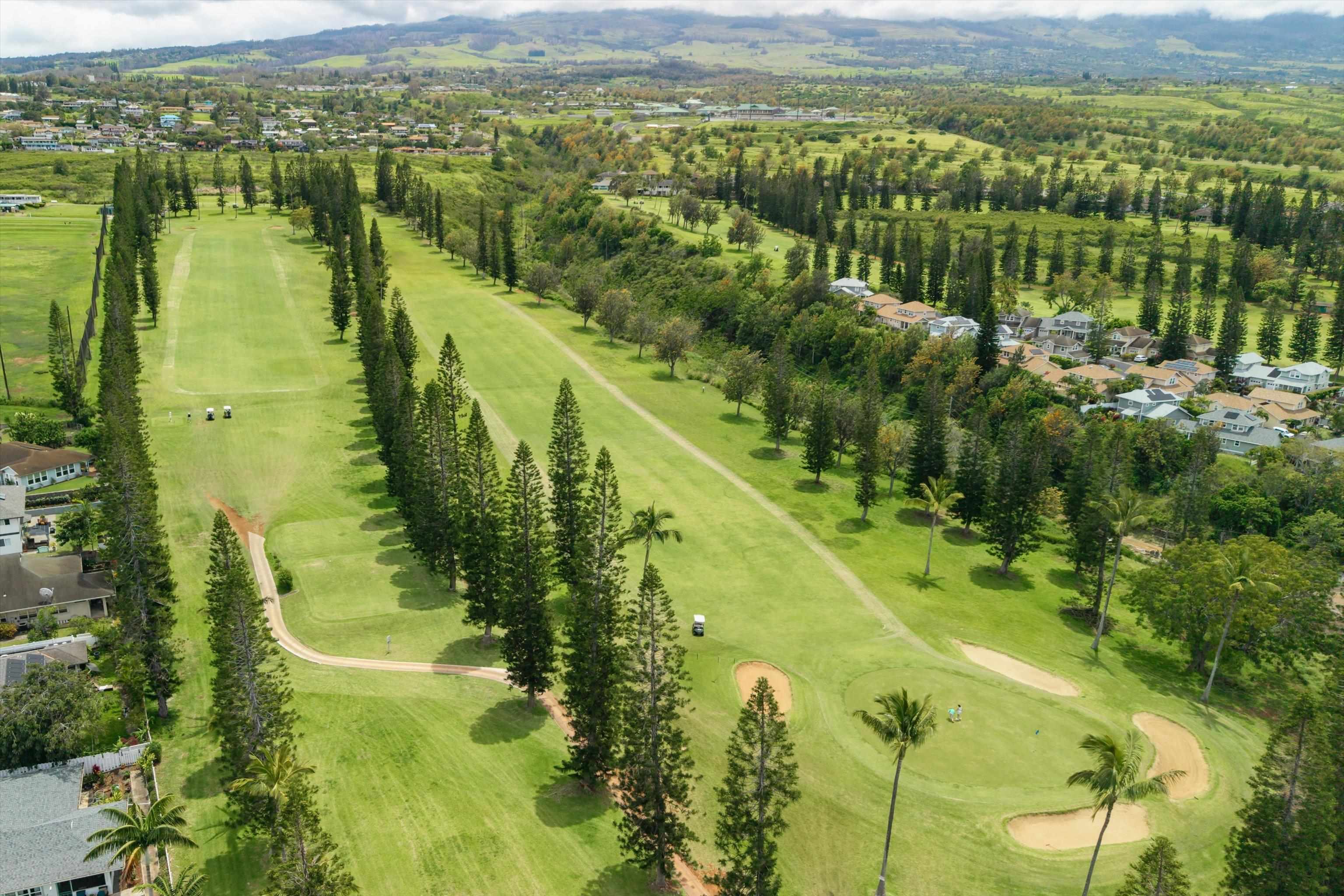 2811  Liholani St Pukalani Fairway Estates, Pukalani home - photo 46 of 50