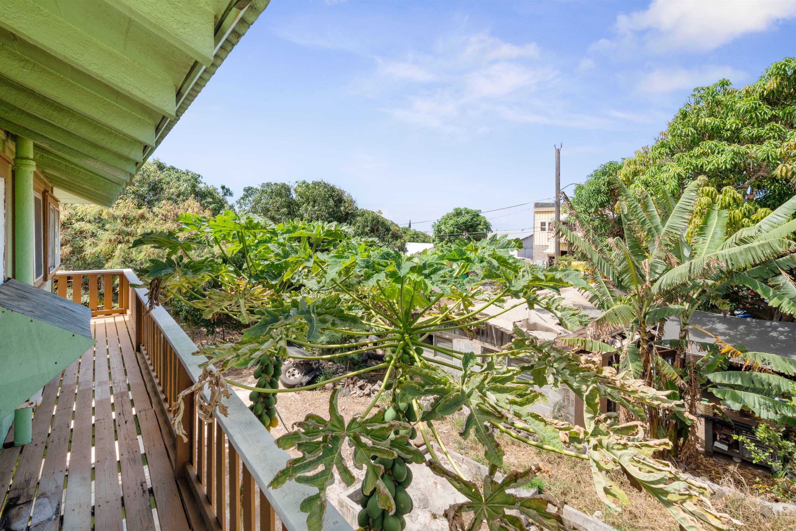 282  Momi Pl , Wailuku home - photo 30 of 38