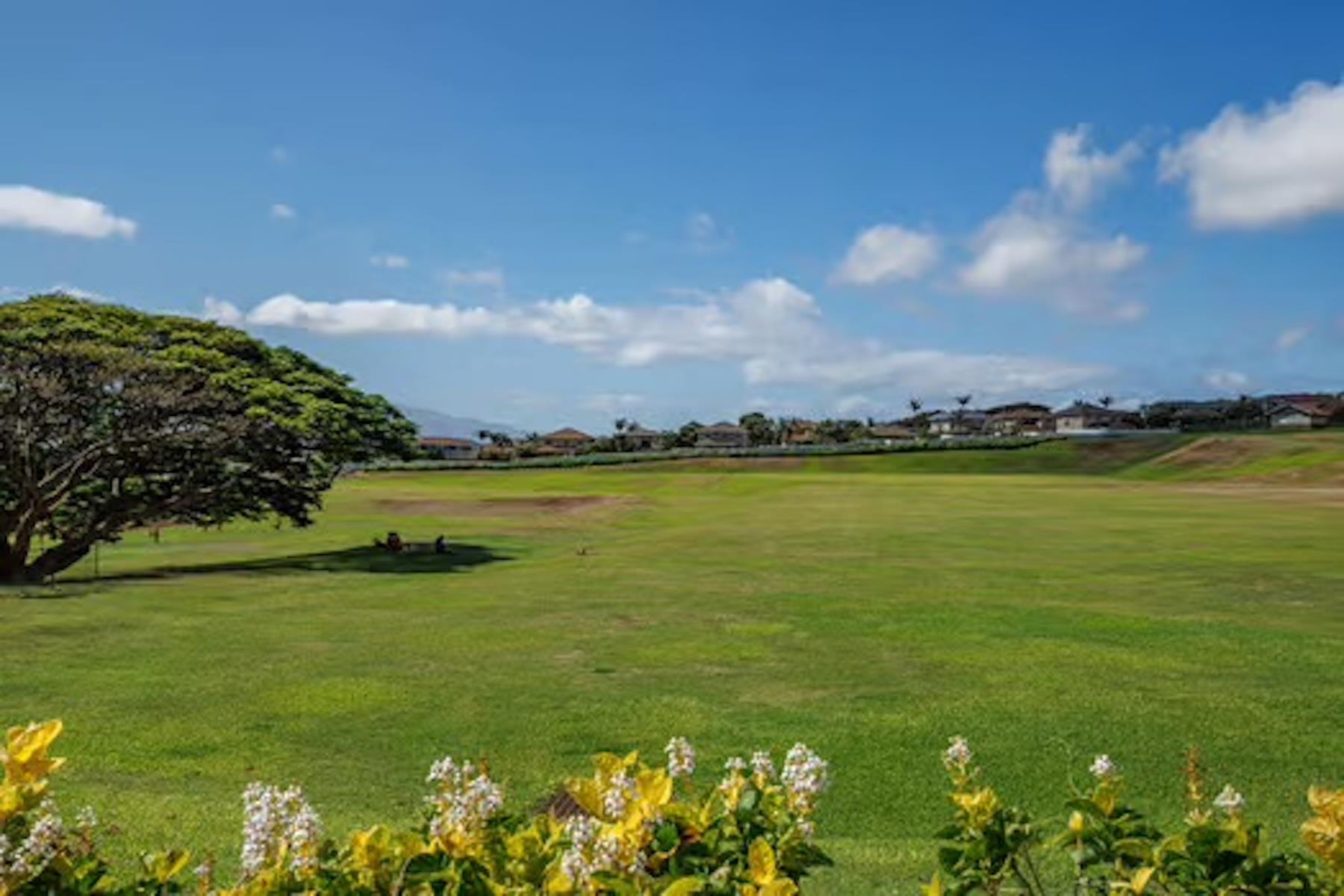282  Puaehu St Ilima, Wailuku home - photo 19 of 24