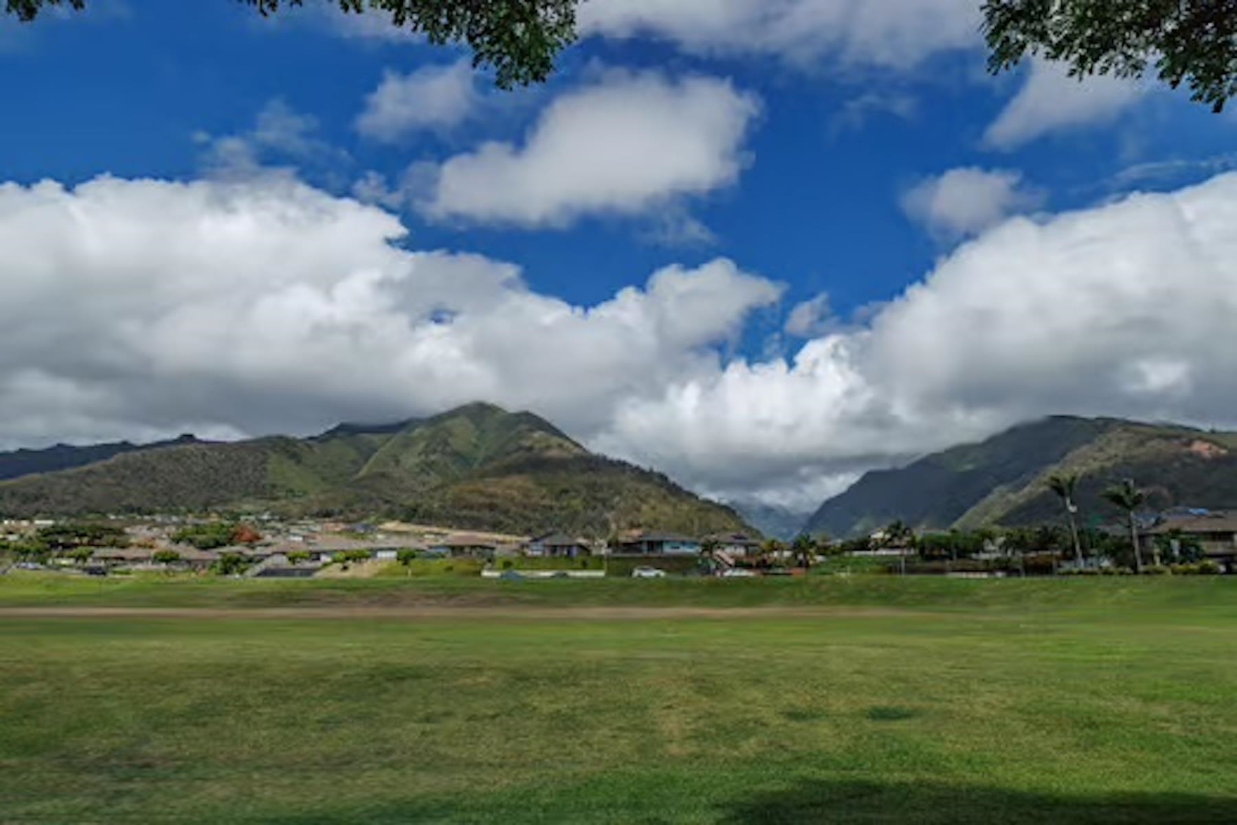 282  Puaehu St Ilima, Wailuku home - photo 20 of 24